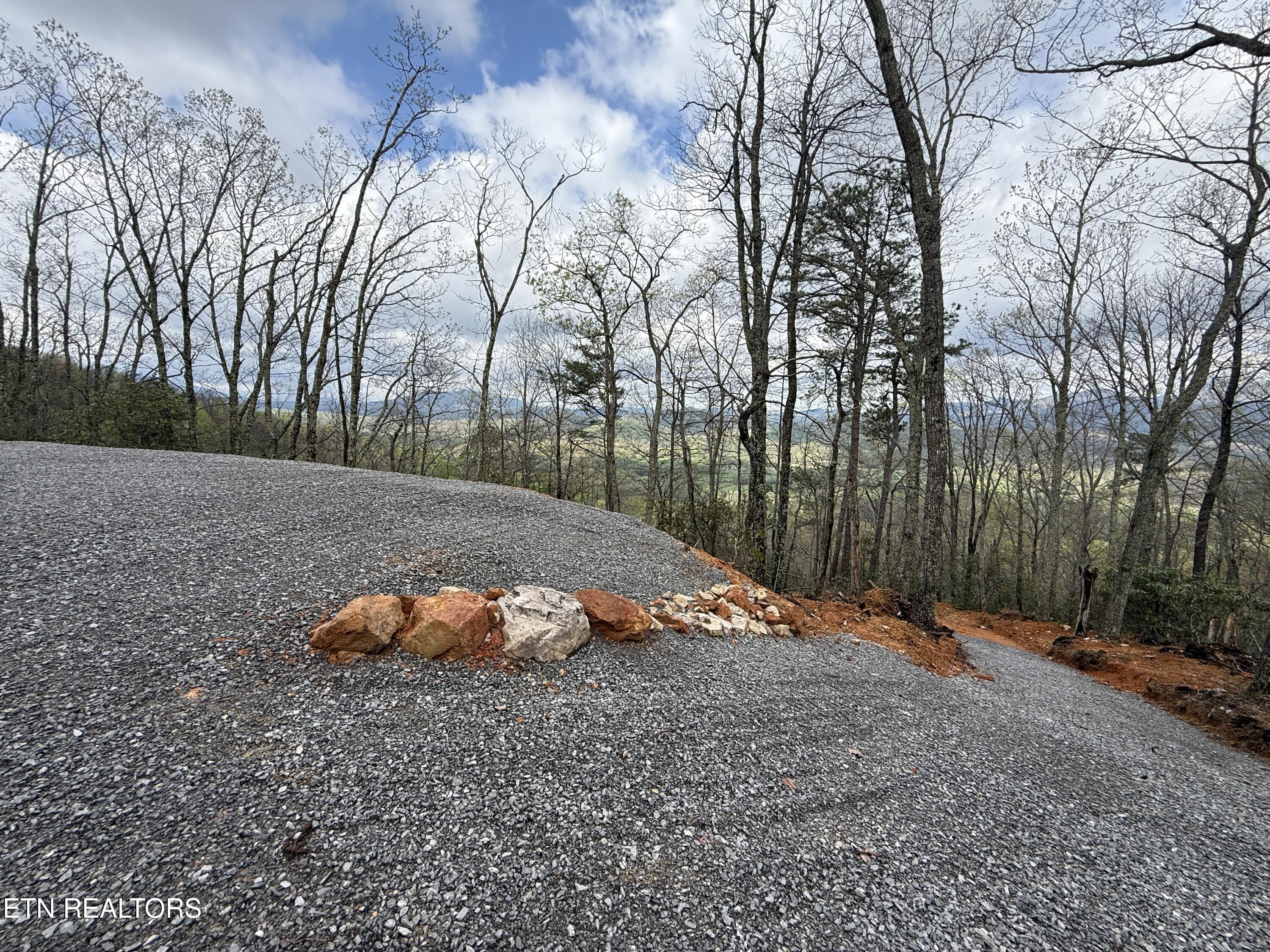 3.93 Acres Green Forest Road Cosby TN 37722