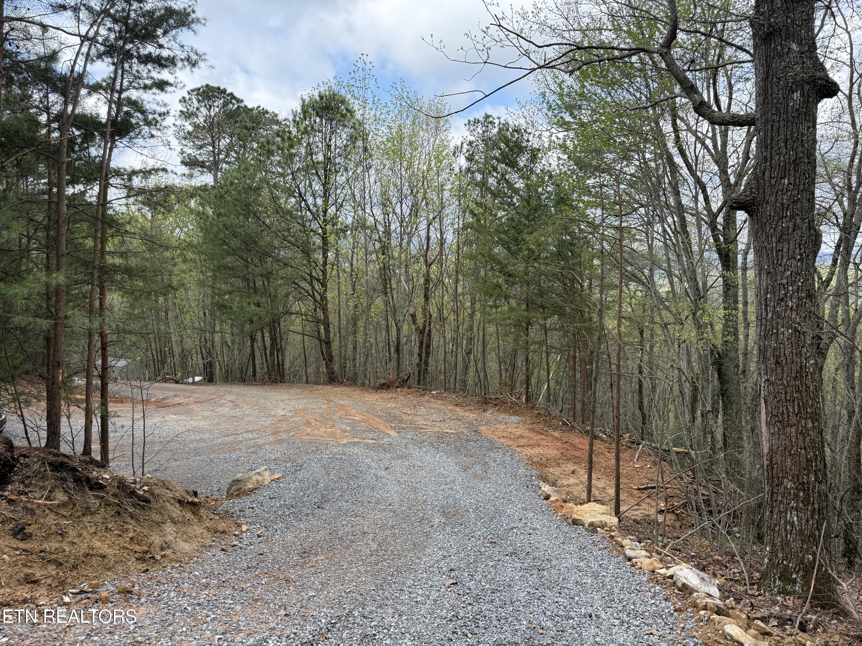 3.93 Acres Green Forest Road Cosby TN 37722