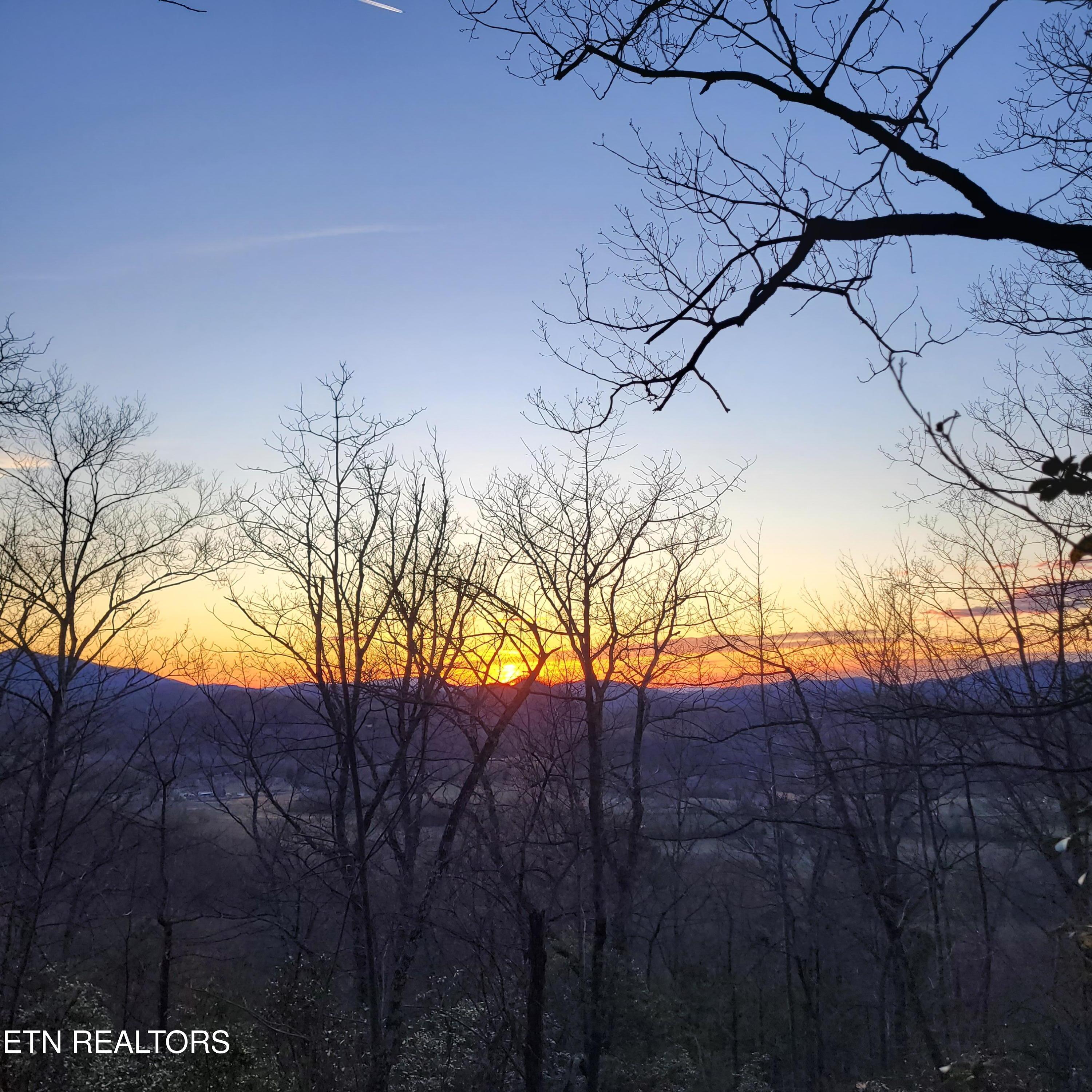 3.93 Acres Green Forest Road Cosby TN 37722