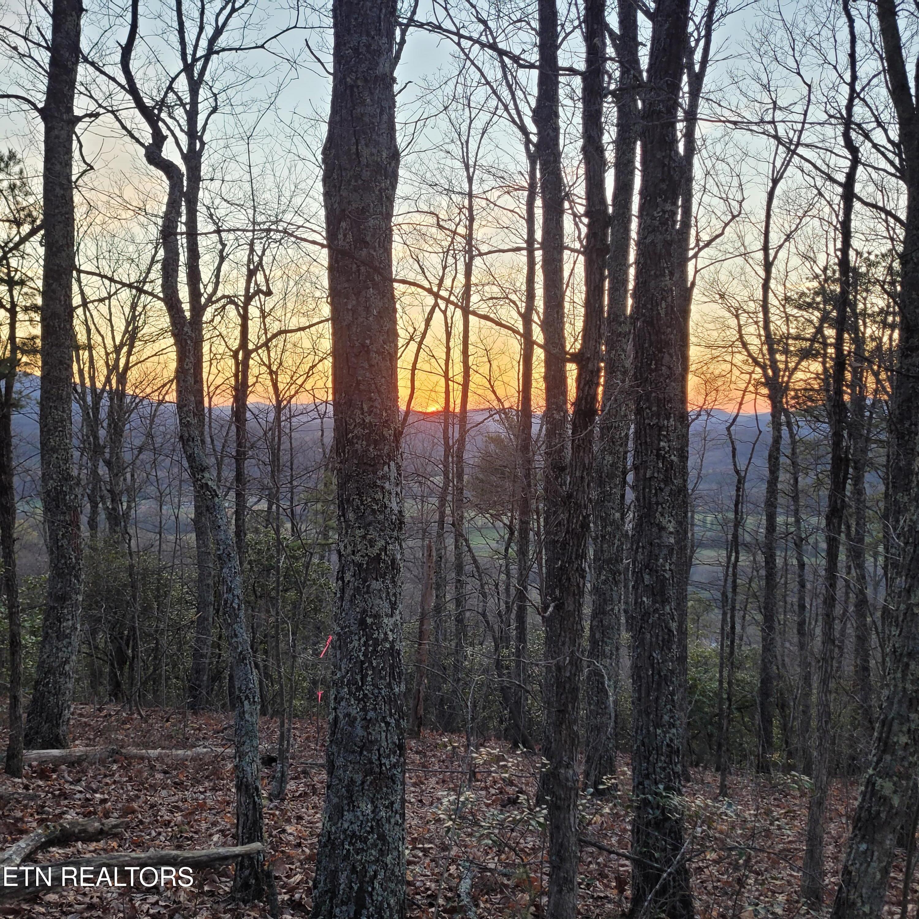 3.93 Acres Green Forest Road Cosby TN 37722