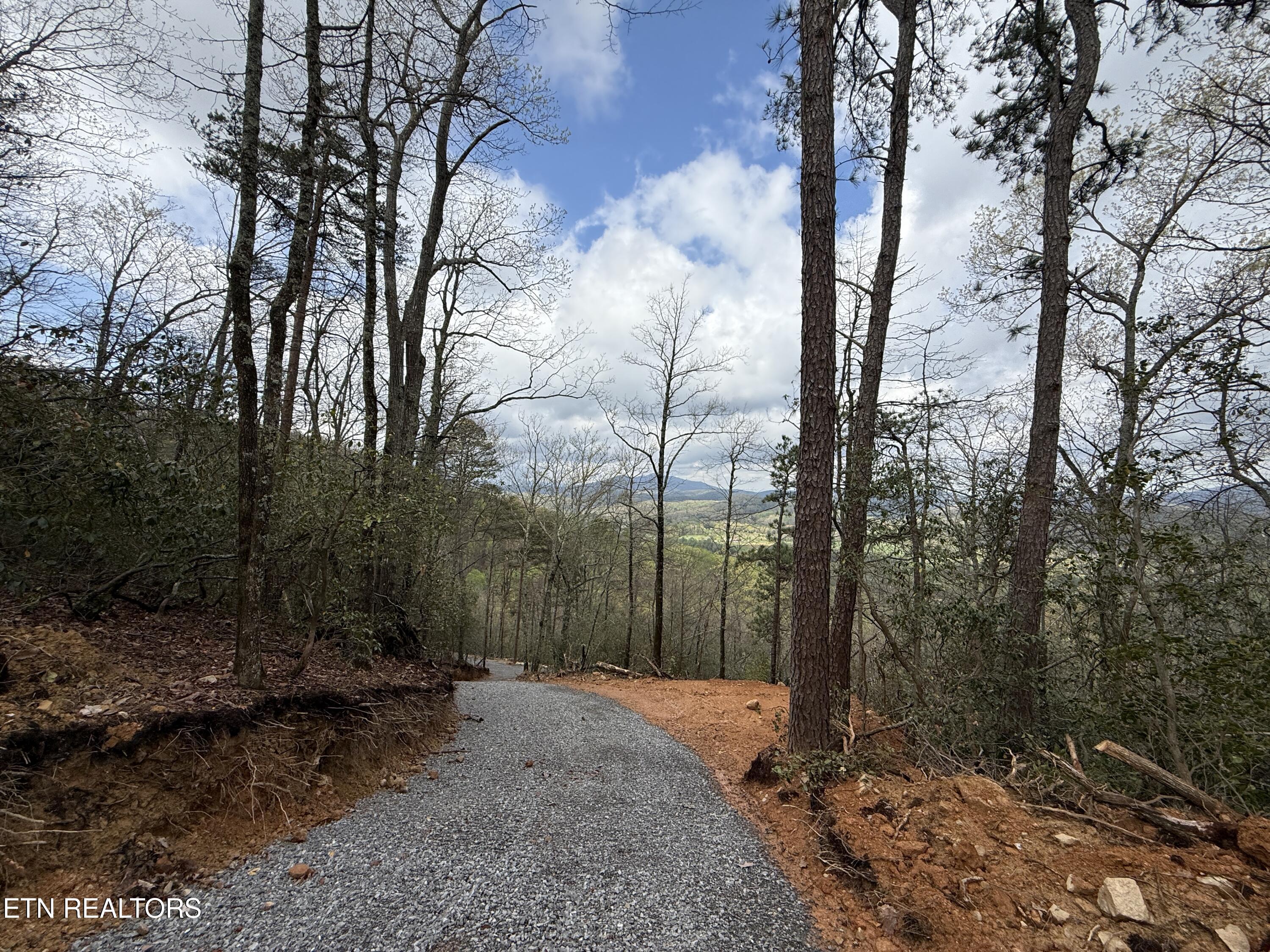 3.93 Acres Green Forest Road Cosby TN 37722