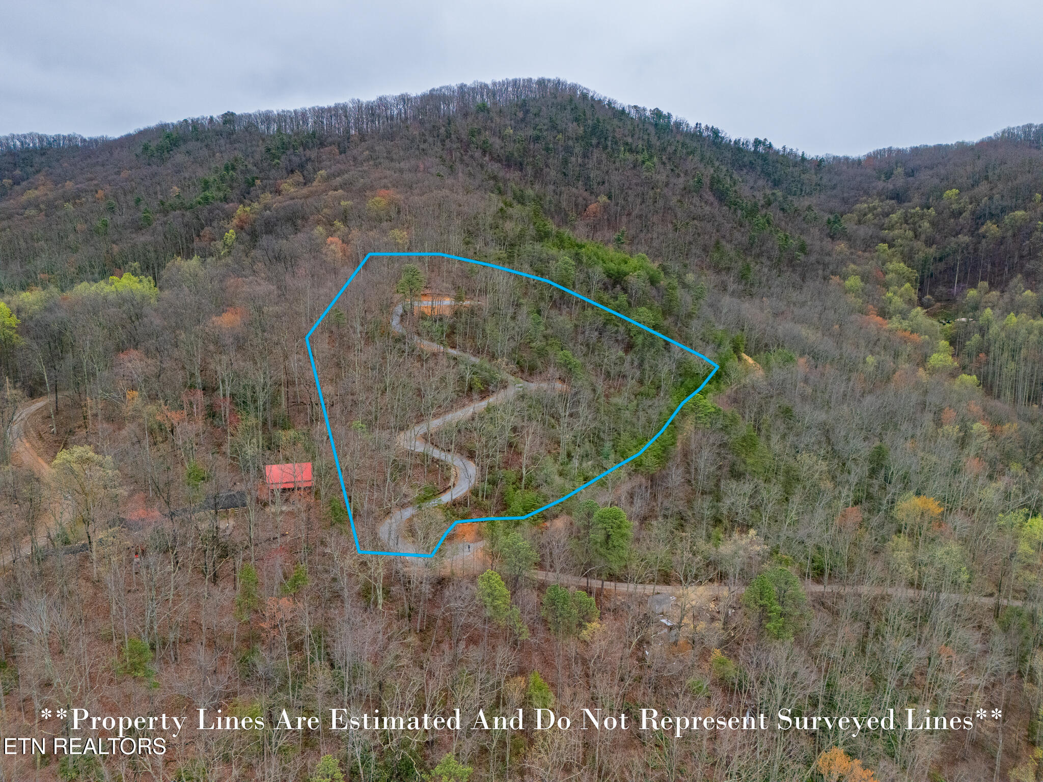 3.93 Acres Green Forest Road Cosby TN 37722