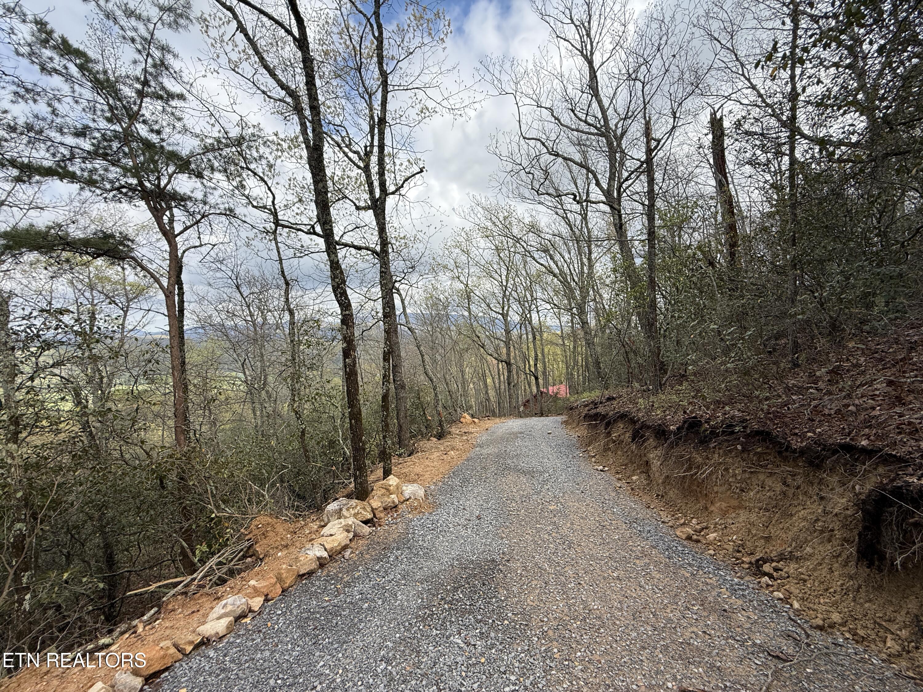 3.93 Acres Green Forest Road Cosby TN 37722
