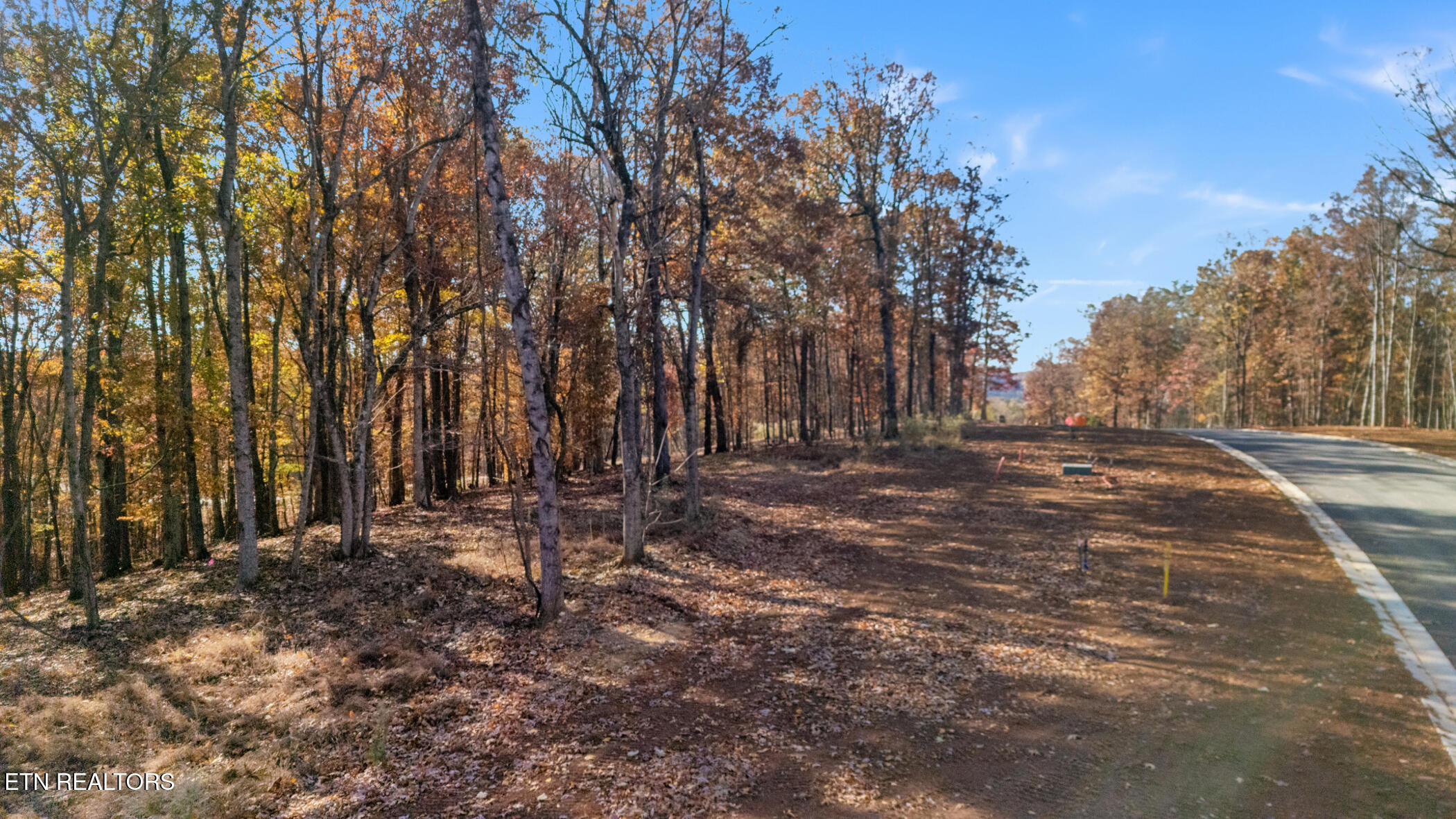 2908 Old Dogwood Trail Loudon TN 37774