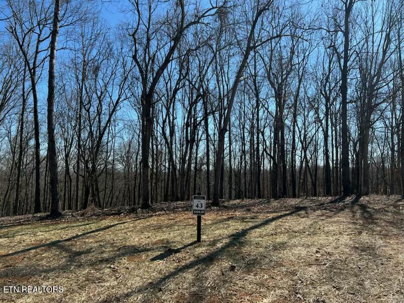 2908 Old Dogwood Trail Loudon TN 37774