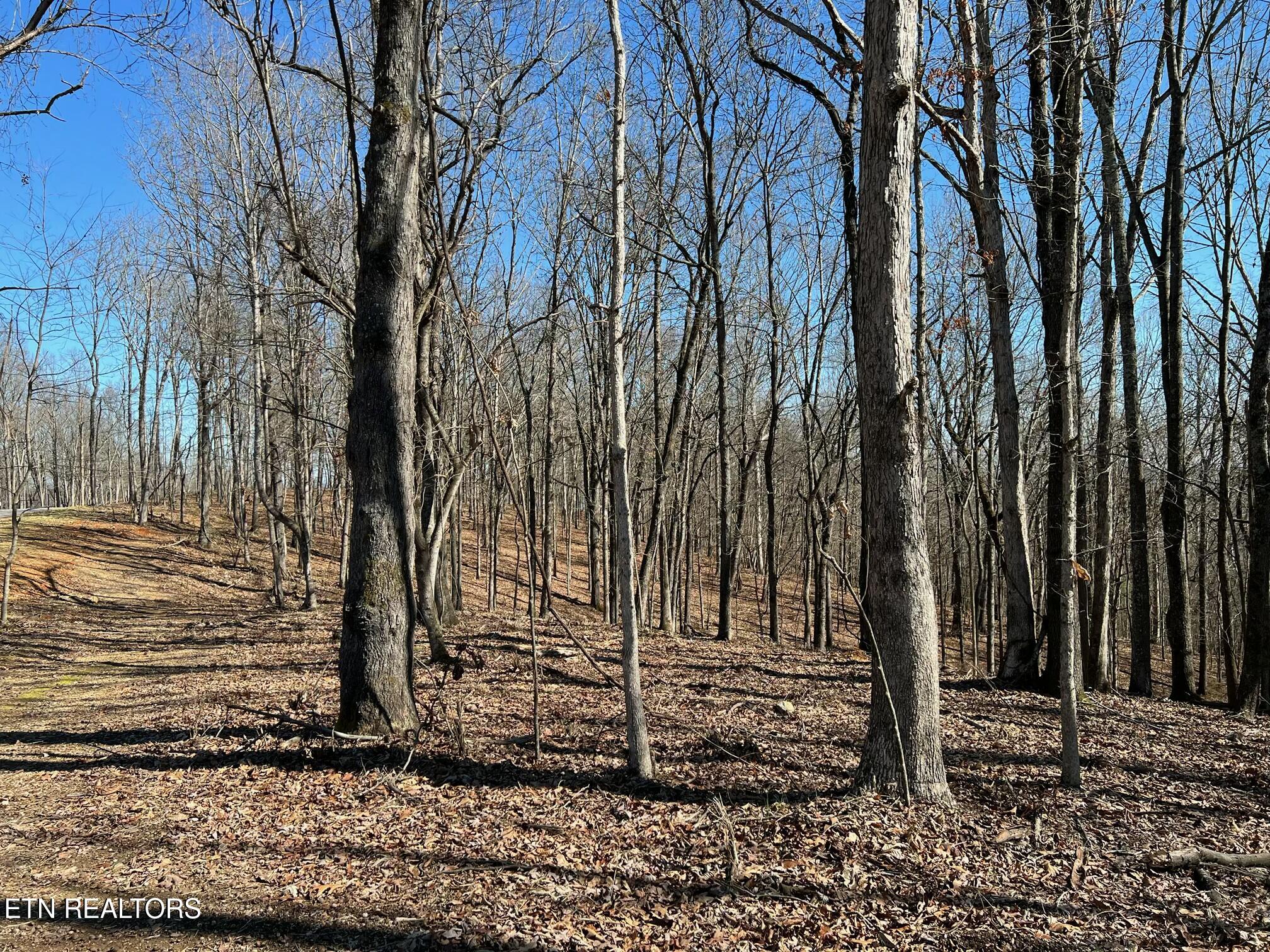 2908 Old Dogwood Trail Loudon TN 37774