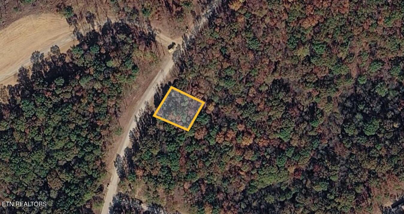 2908 Old Dogwood Trail Loudon TN 37774