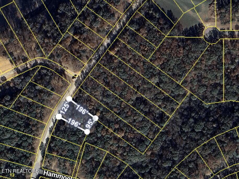 2908 Old Dogwood Trail Loudon TN 37774