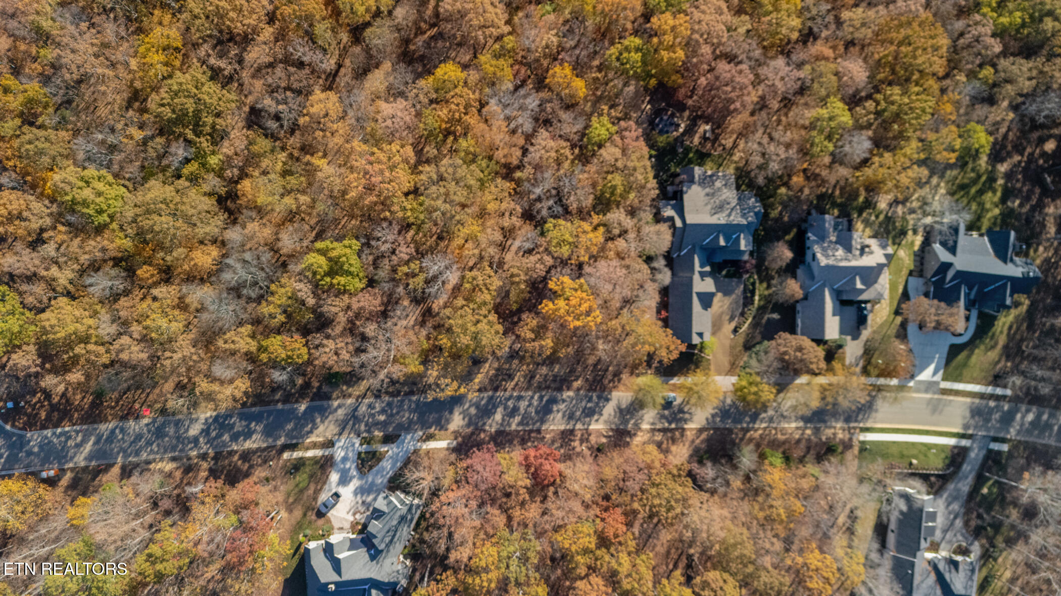 2908 Old Dogwood Trail Loudon TN 37774