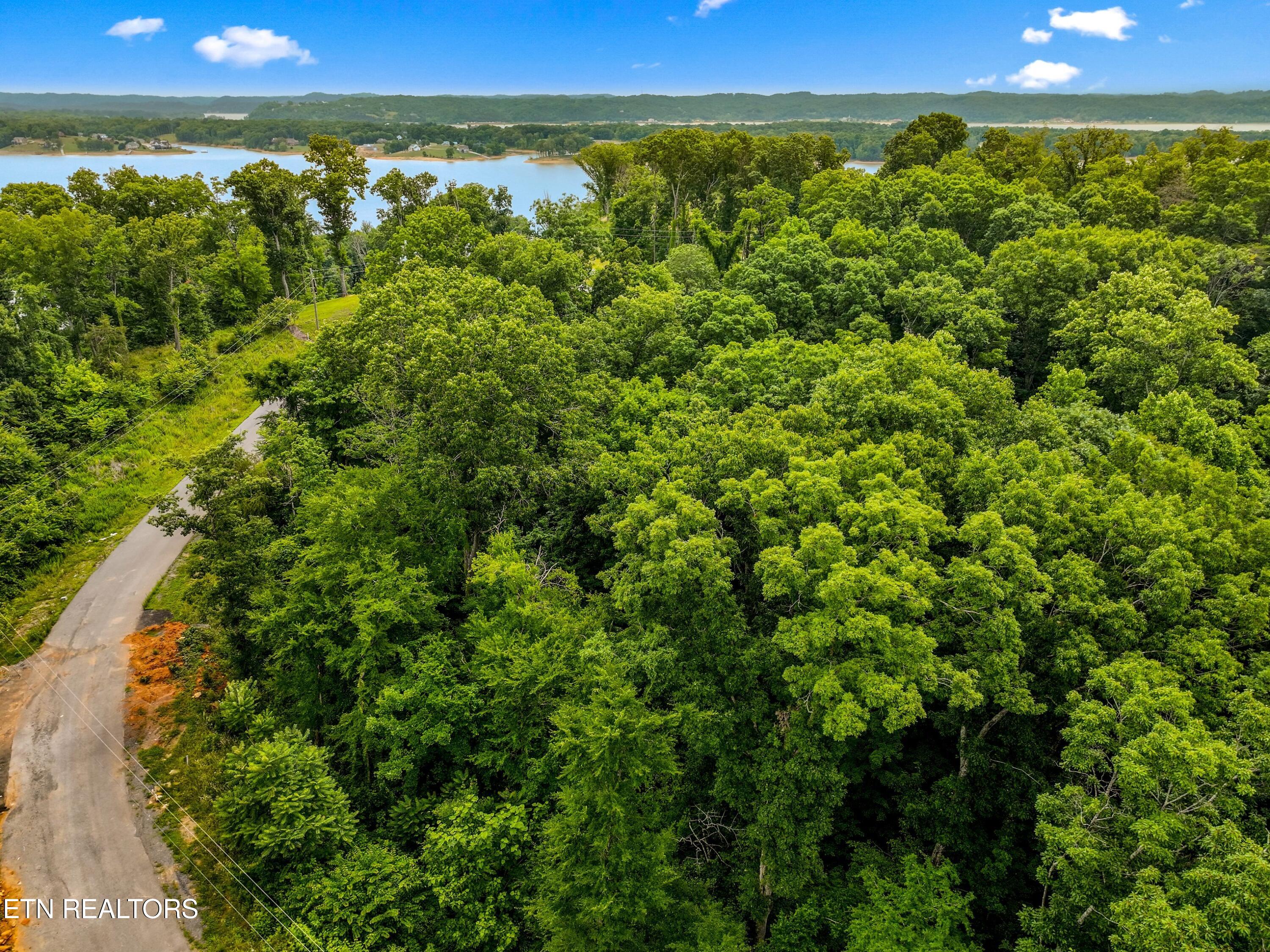 Lot 100 Ridgeline Trail Dandridge TN 37725