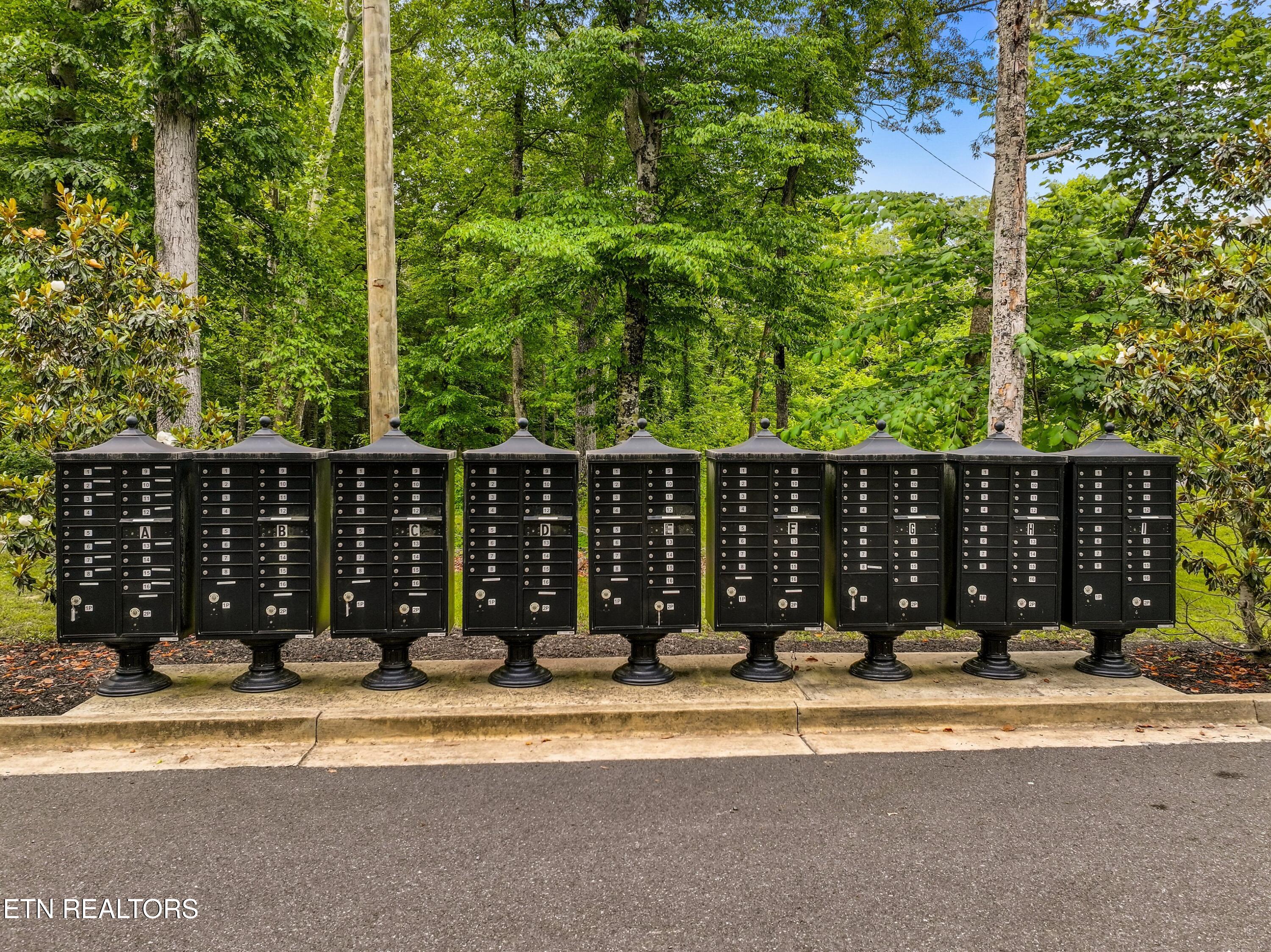 Lot 100 Ridgeline Trail Dandridge TN 37725