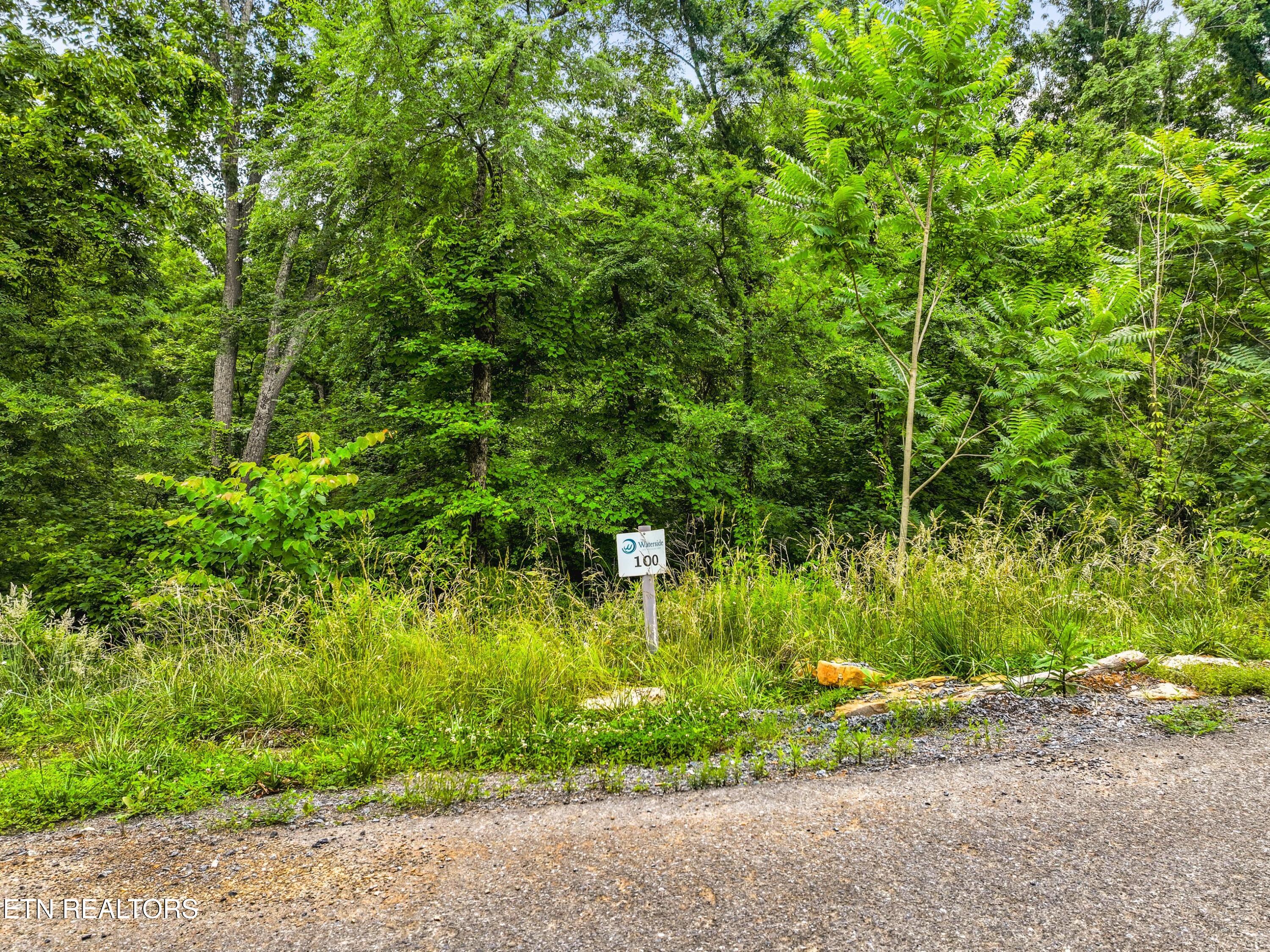 Lot 100 Ridgeline Trail Dandridge TN 37725