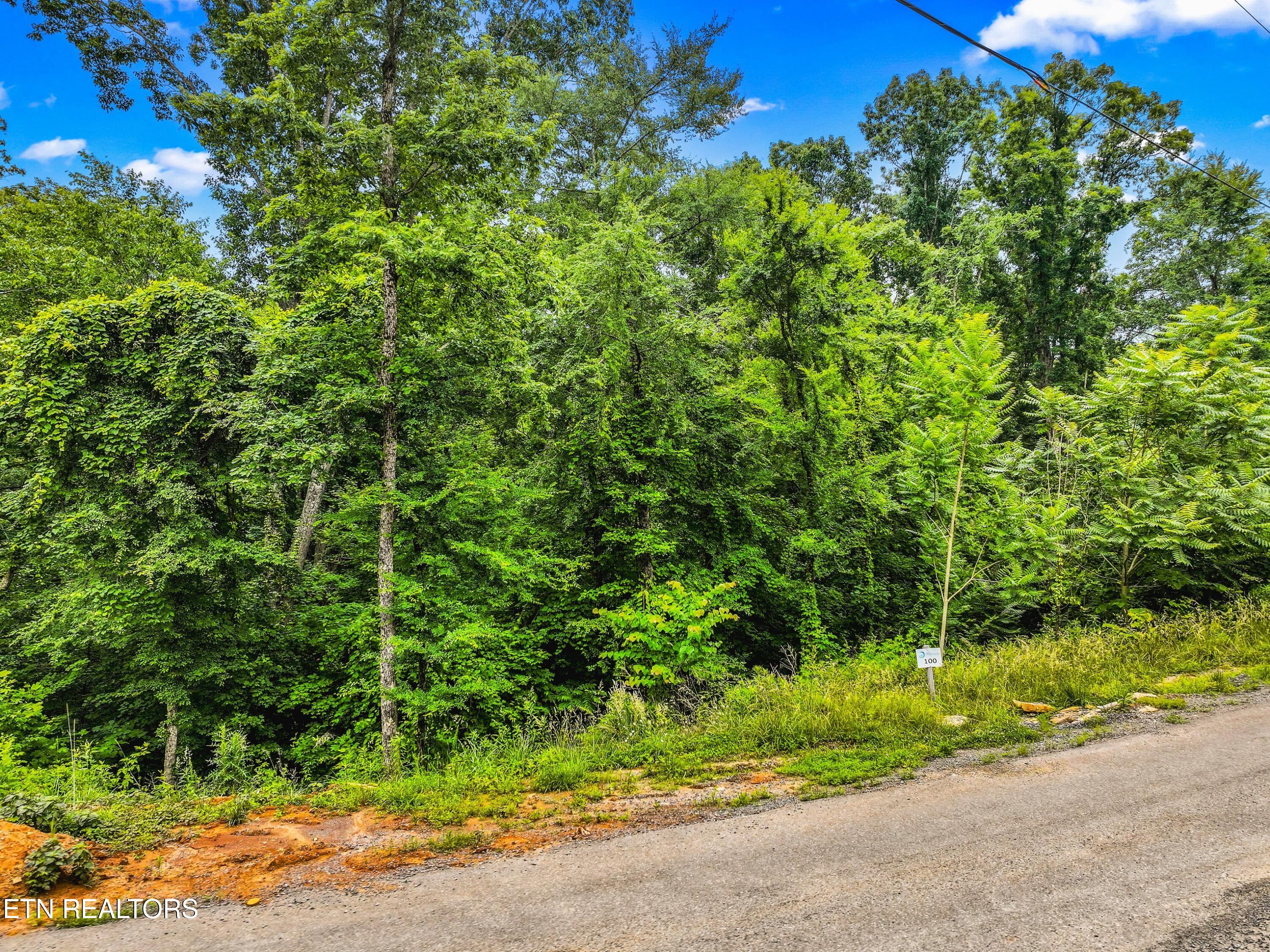 Lot 100 Ridgeline Trail Dandridge TN 37725