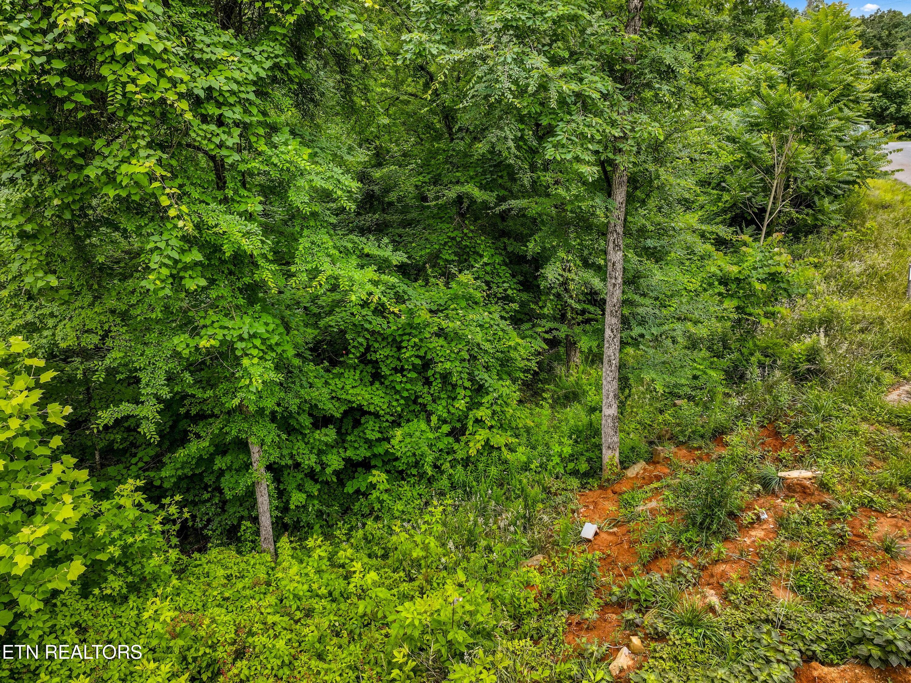 Lot 100 Ridgeline Trail Dandridge TN 37725