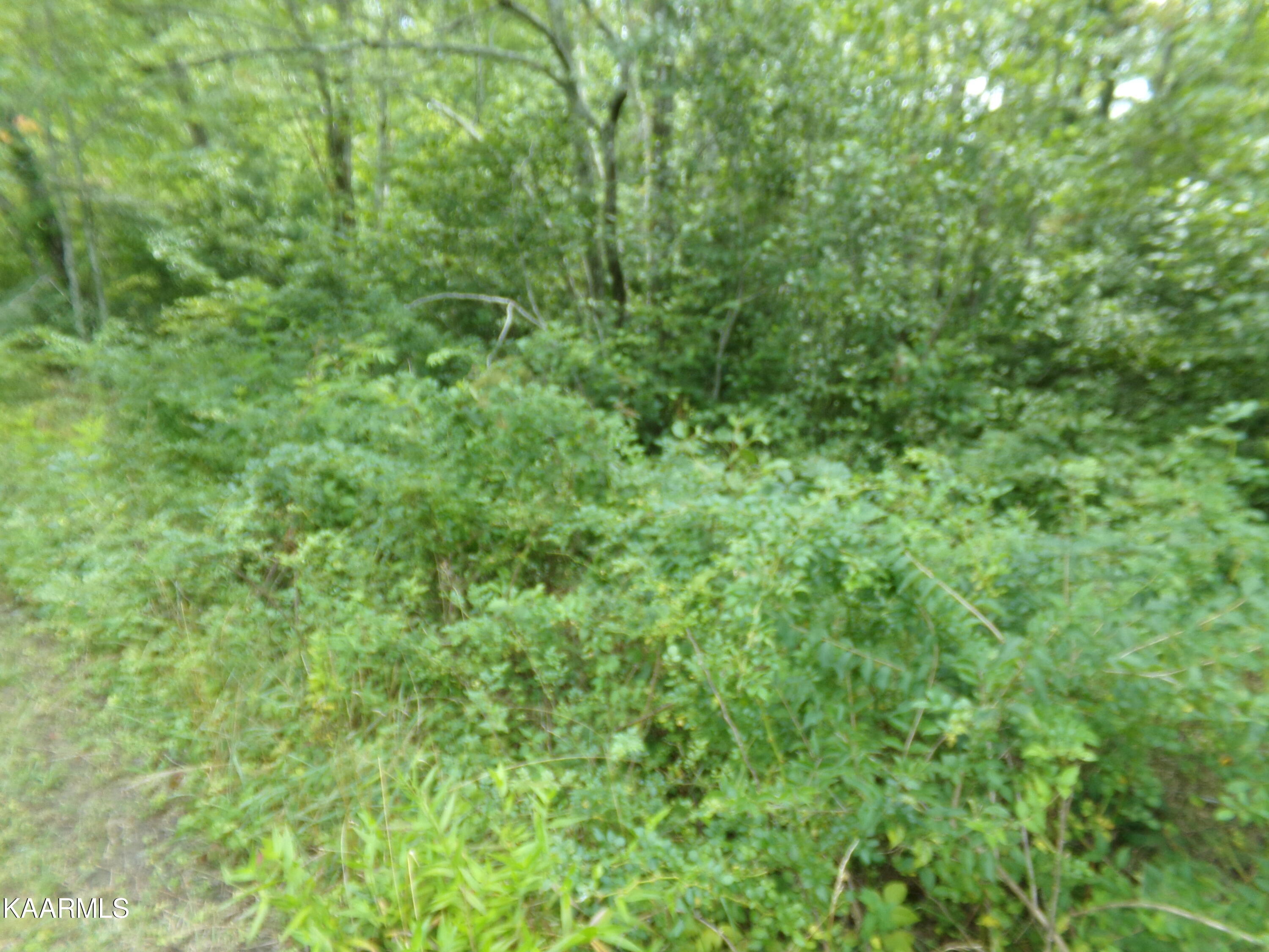 2000 Okmulgee Lane Crossville TN 38572