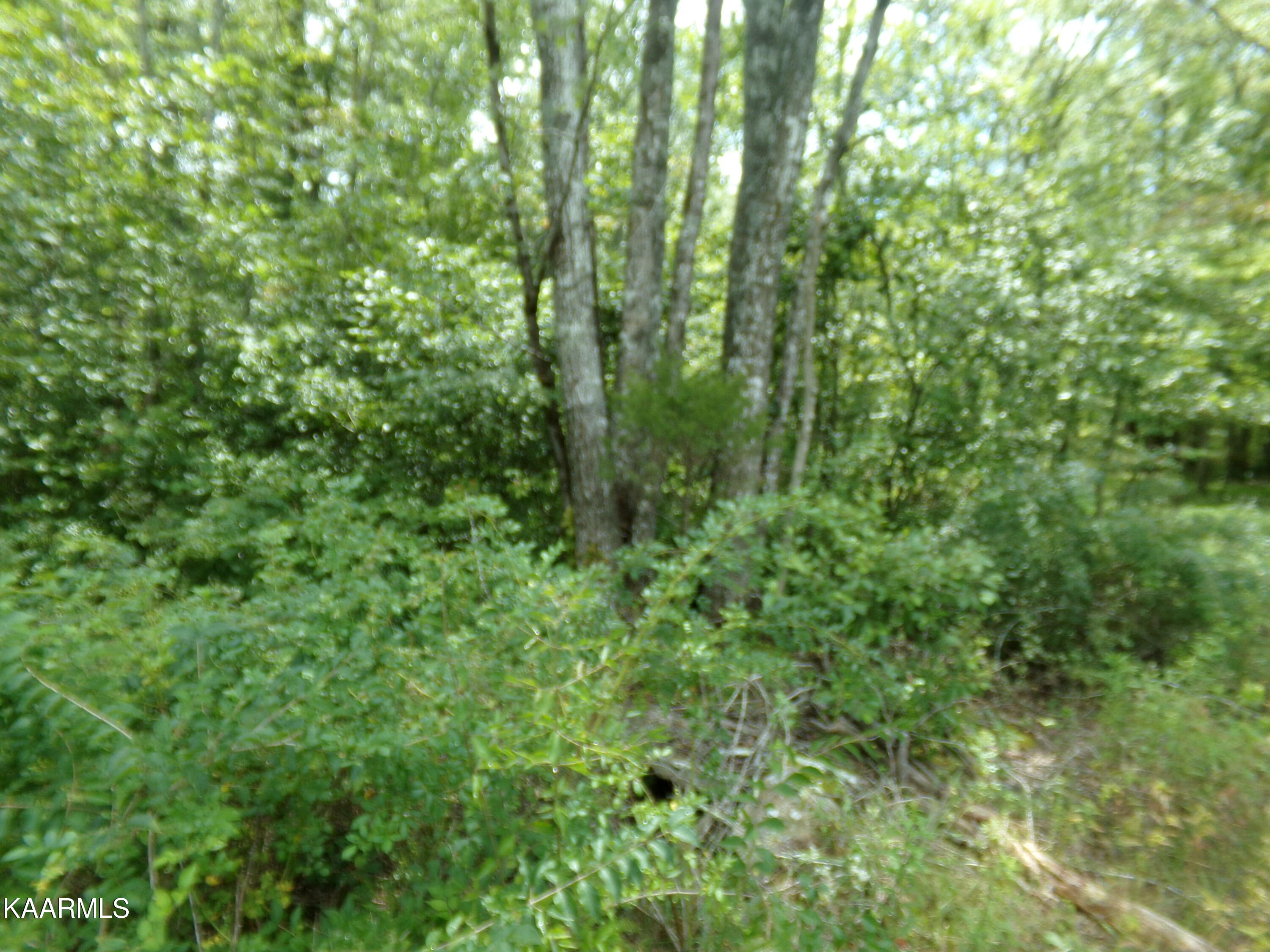 2000 Okmulgee Lane Crossville TN 38572