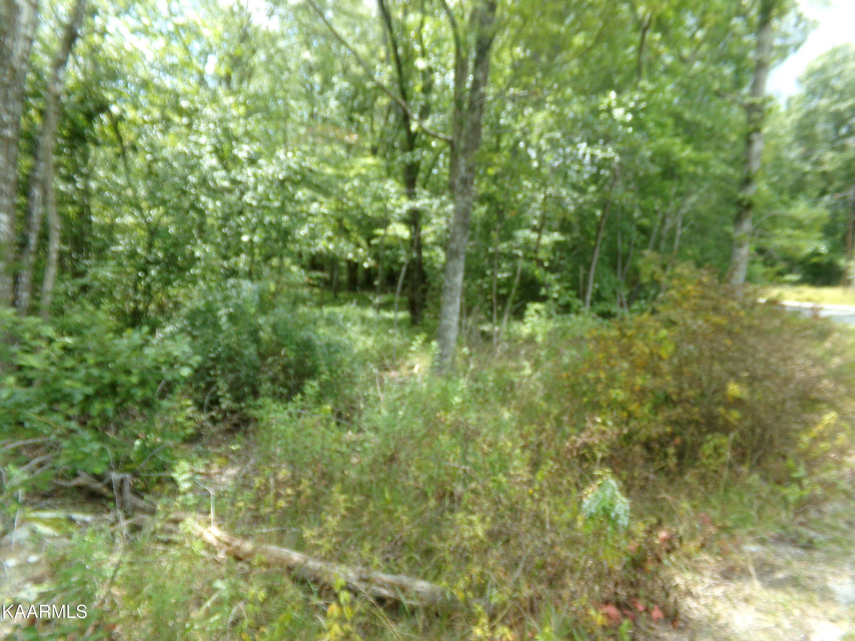 2000 Okmulgee Lane Crossville TN 38572
