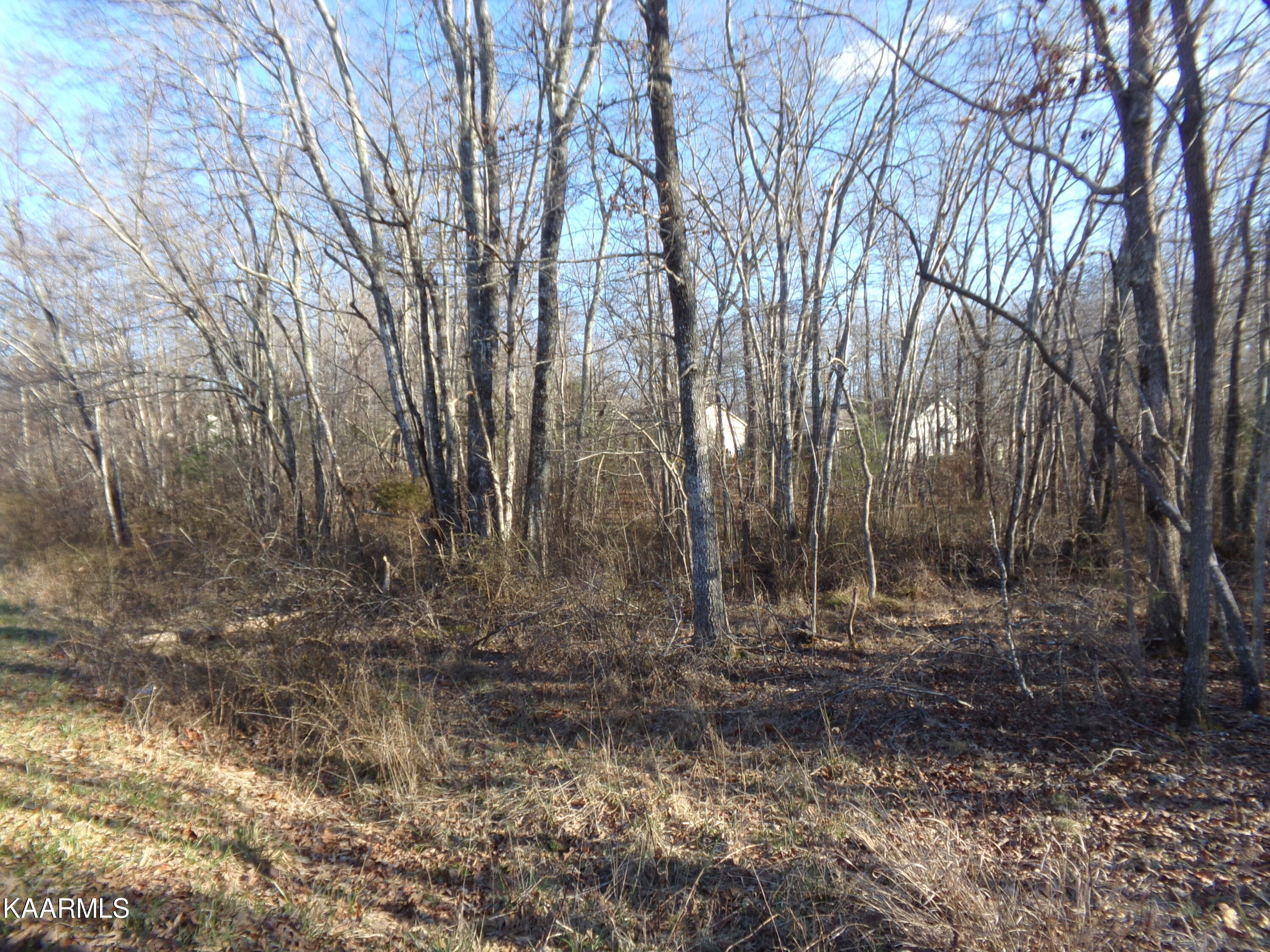 2000 Okmulgee Lane Crossville TN 38572