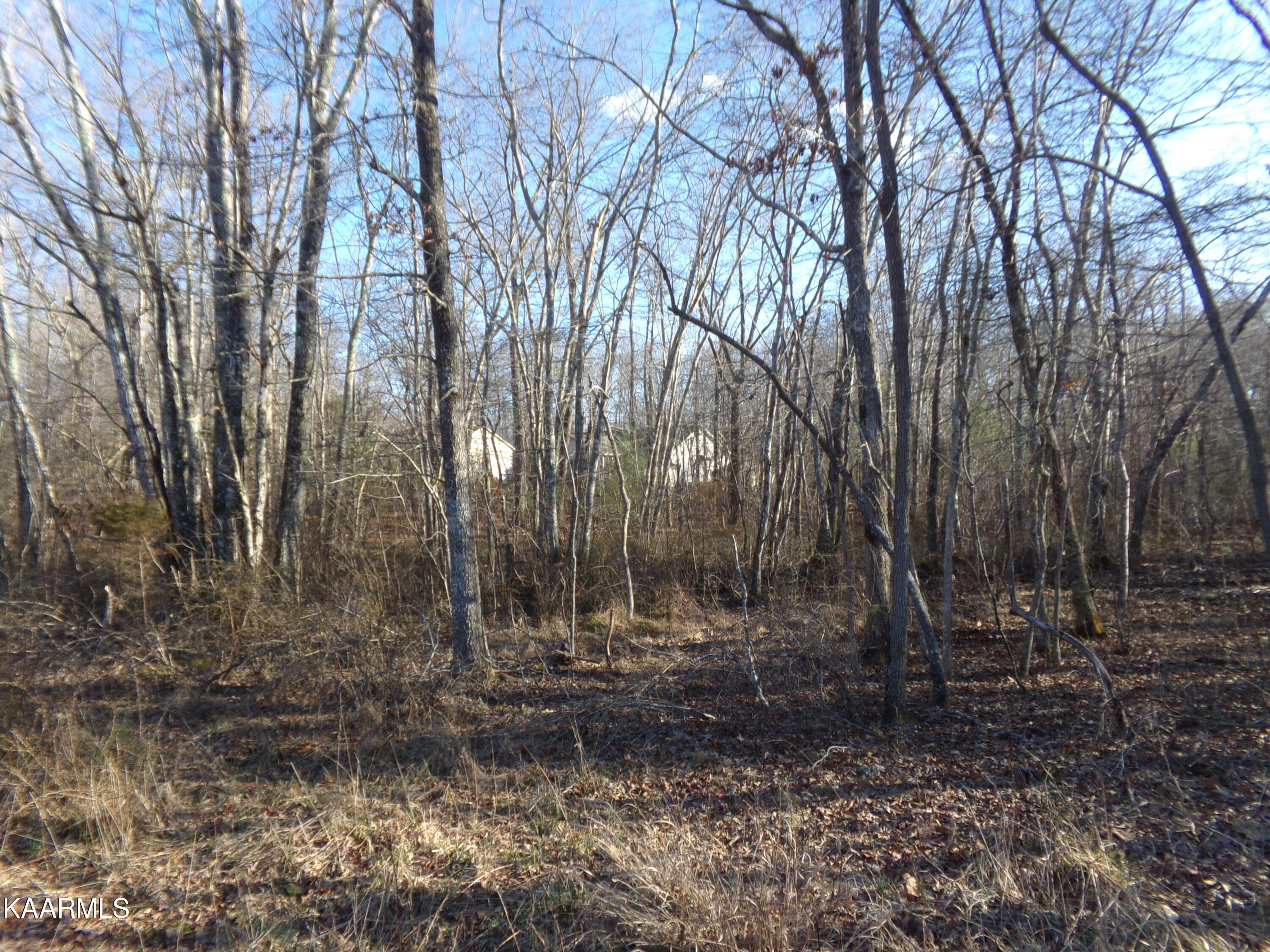 2000 Okmulgee Lane Crossville TN 38572