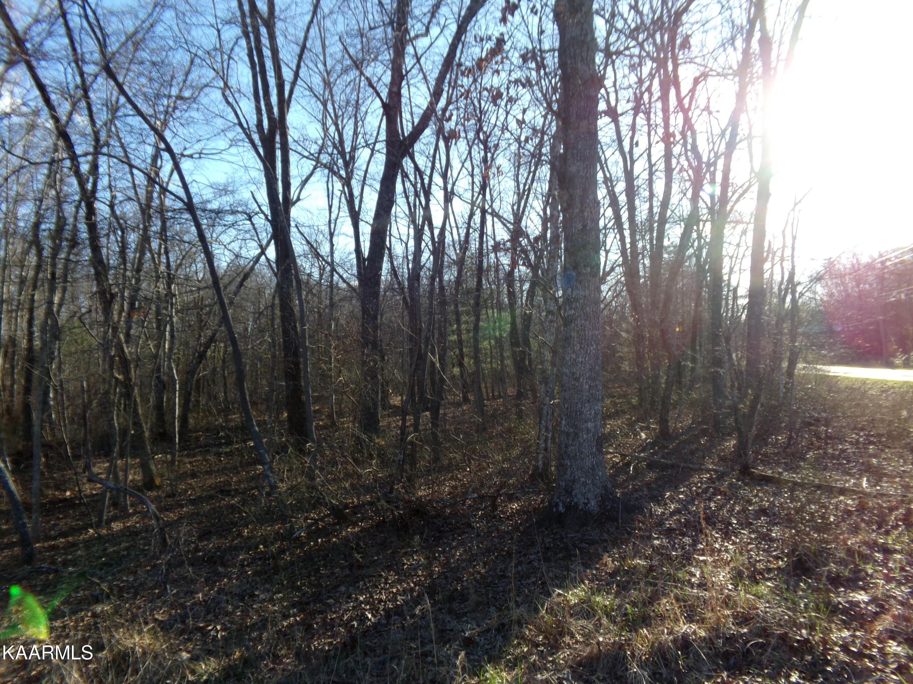 2000 Okmulgee Lane Crossville TN 38572