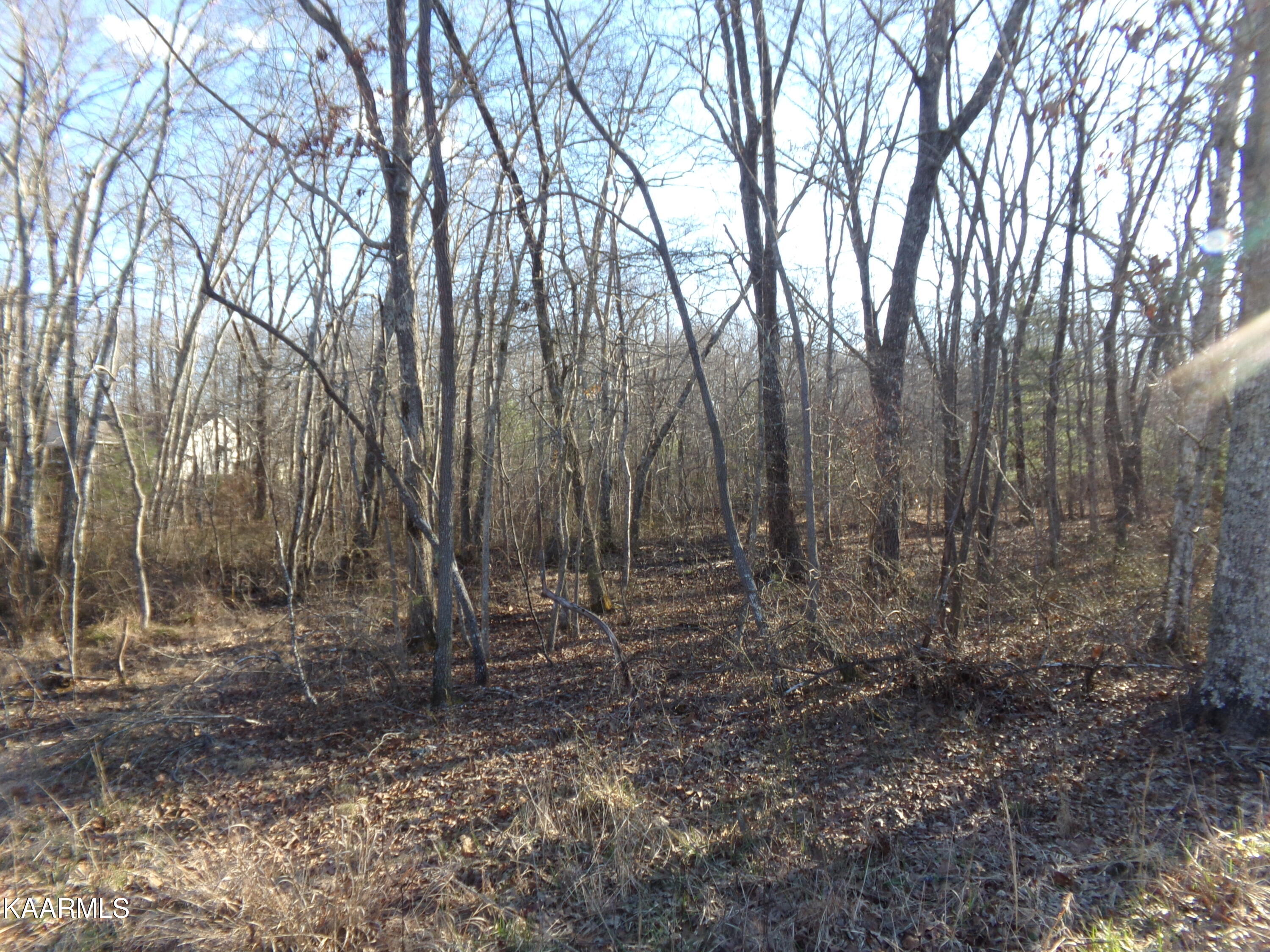 2000 Okmulgee Lane Crossville TN 38572