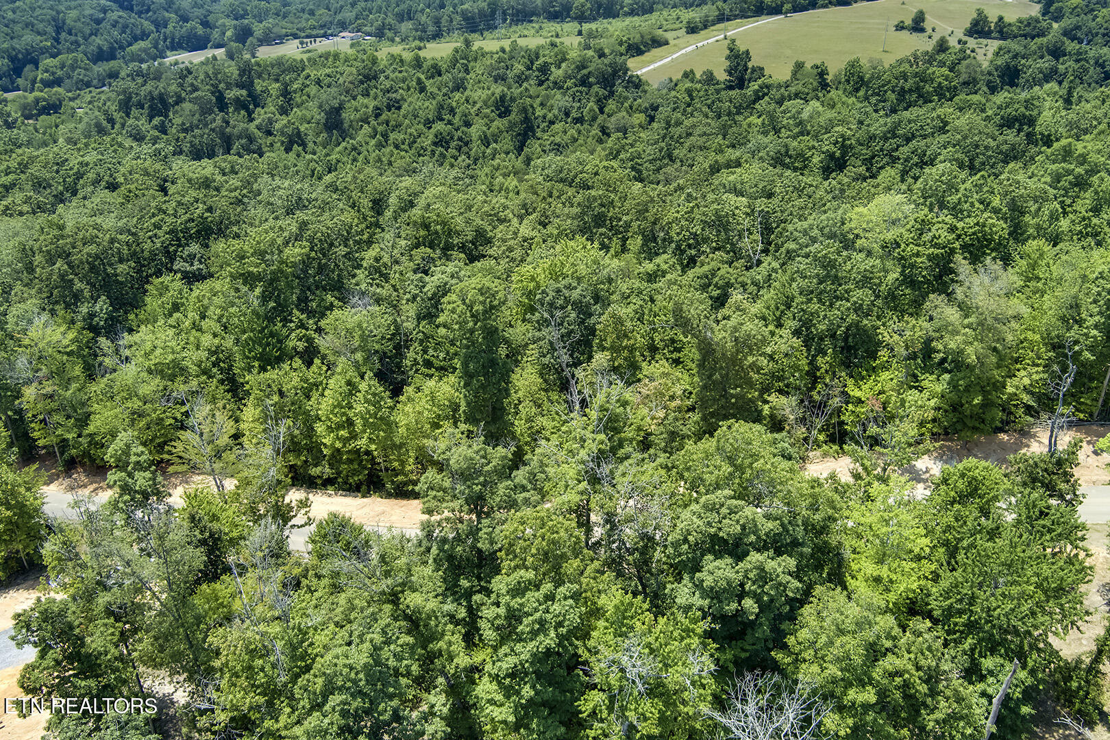 411 Travellers Way Lenoir City TN 37771