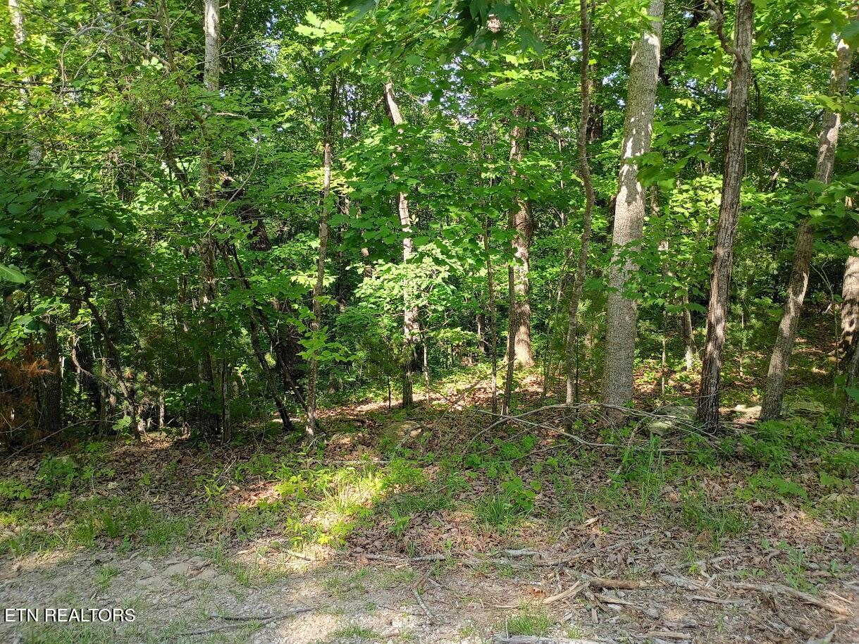 139 Havenridge Circle Crossville TN 38558