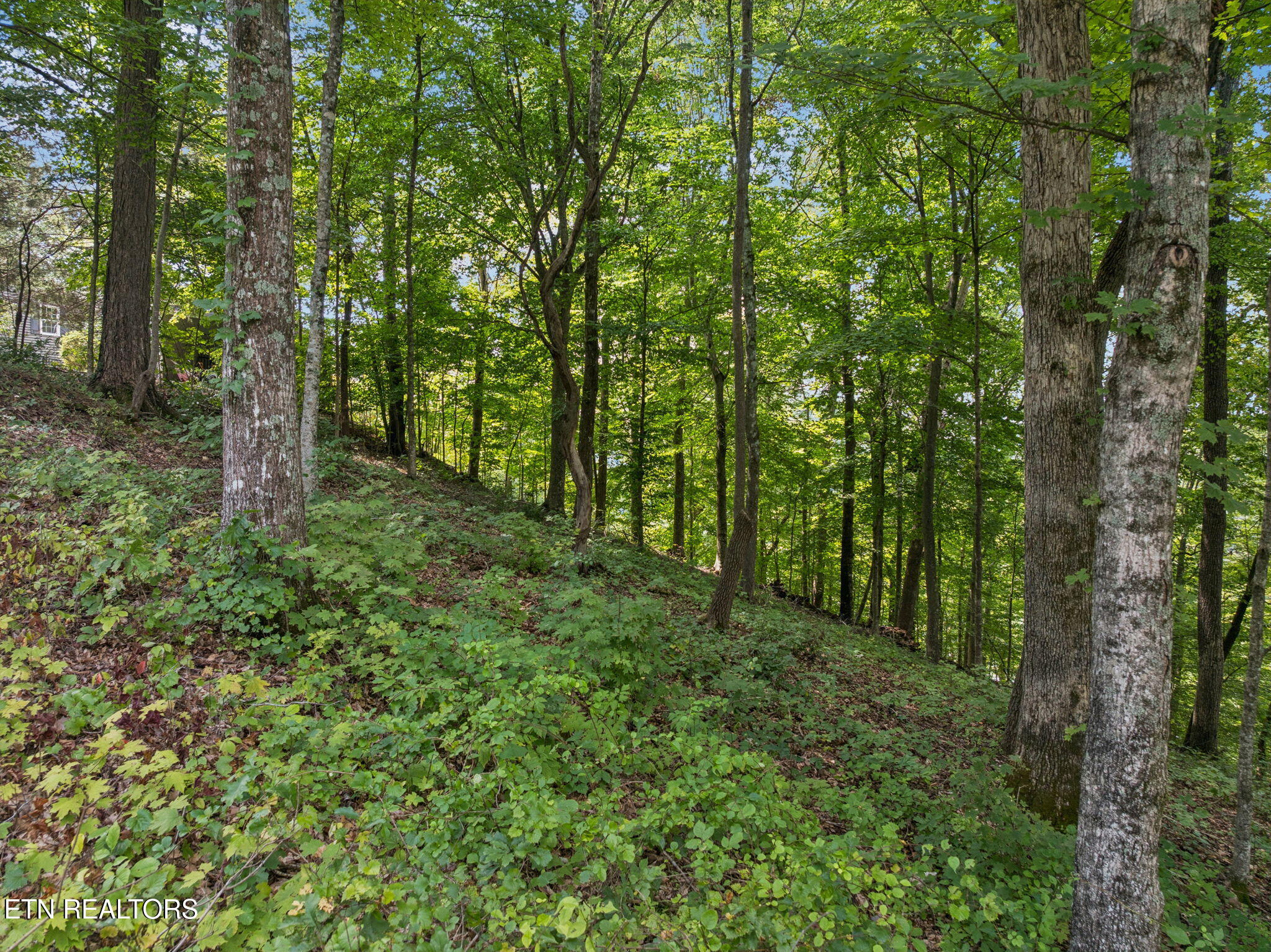 Lot 228 -River Bend Drive Kingston TN 37763