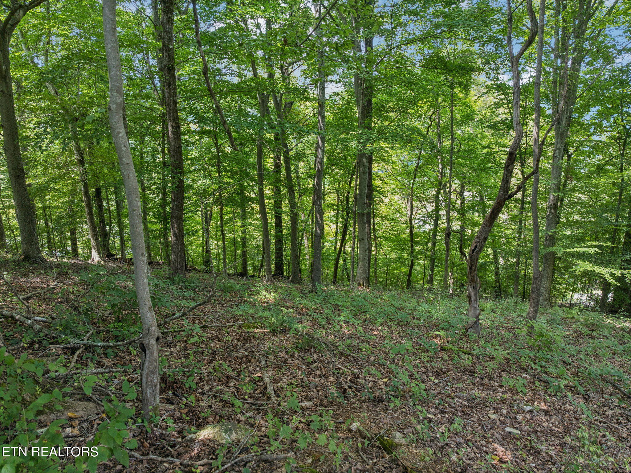 Lot 228 -River Bend Drive Kingston TN 37763
