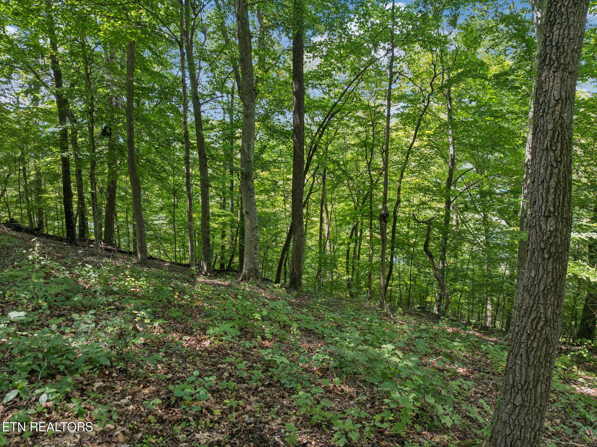 Lot 228 -River Bend Drive Kingston TN 37763