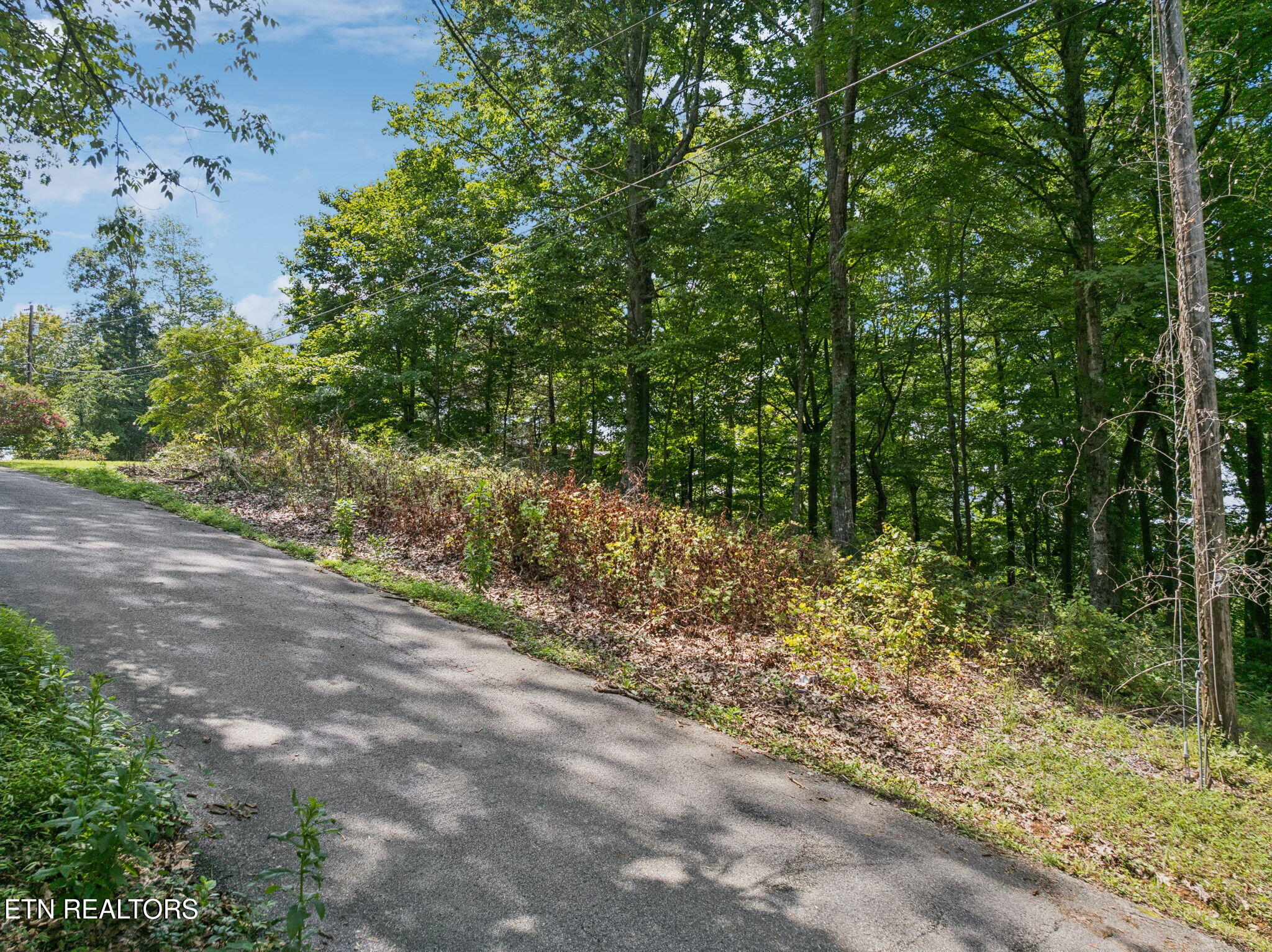 Lot 228 -River Bend Drive Kingston TN 37763