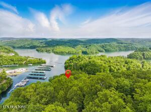 TR3 Mountain Shores Road Tazewell TN 37879