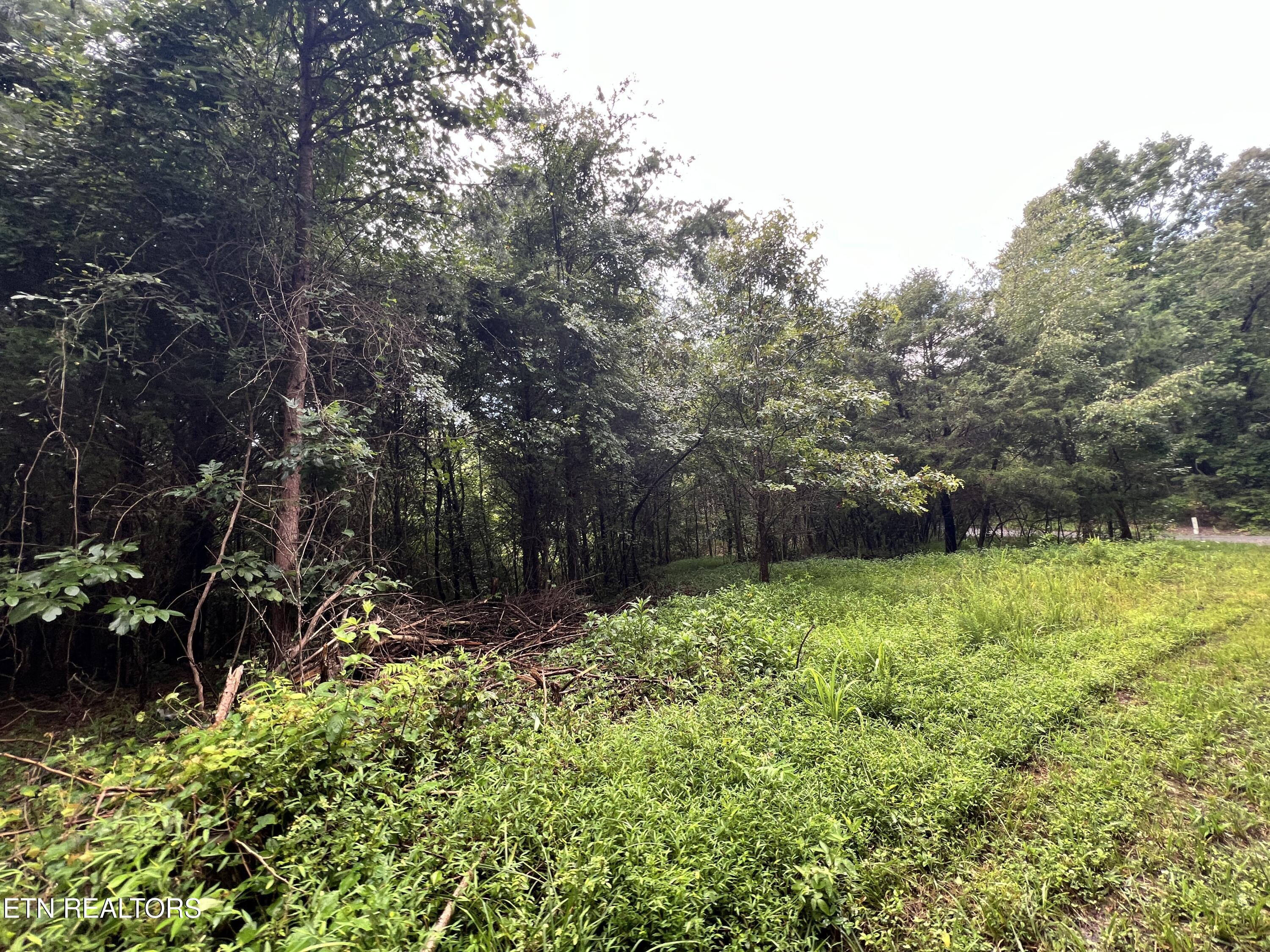 Lot 1 Prigmore Ridge Road Decatur TN 37322