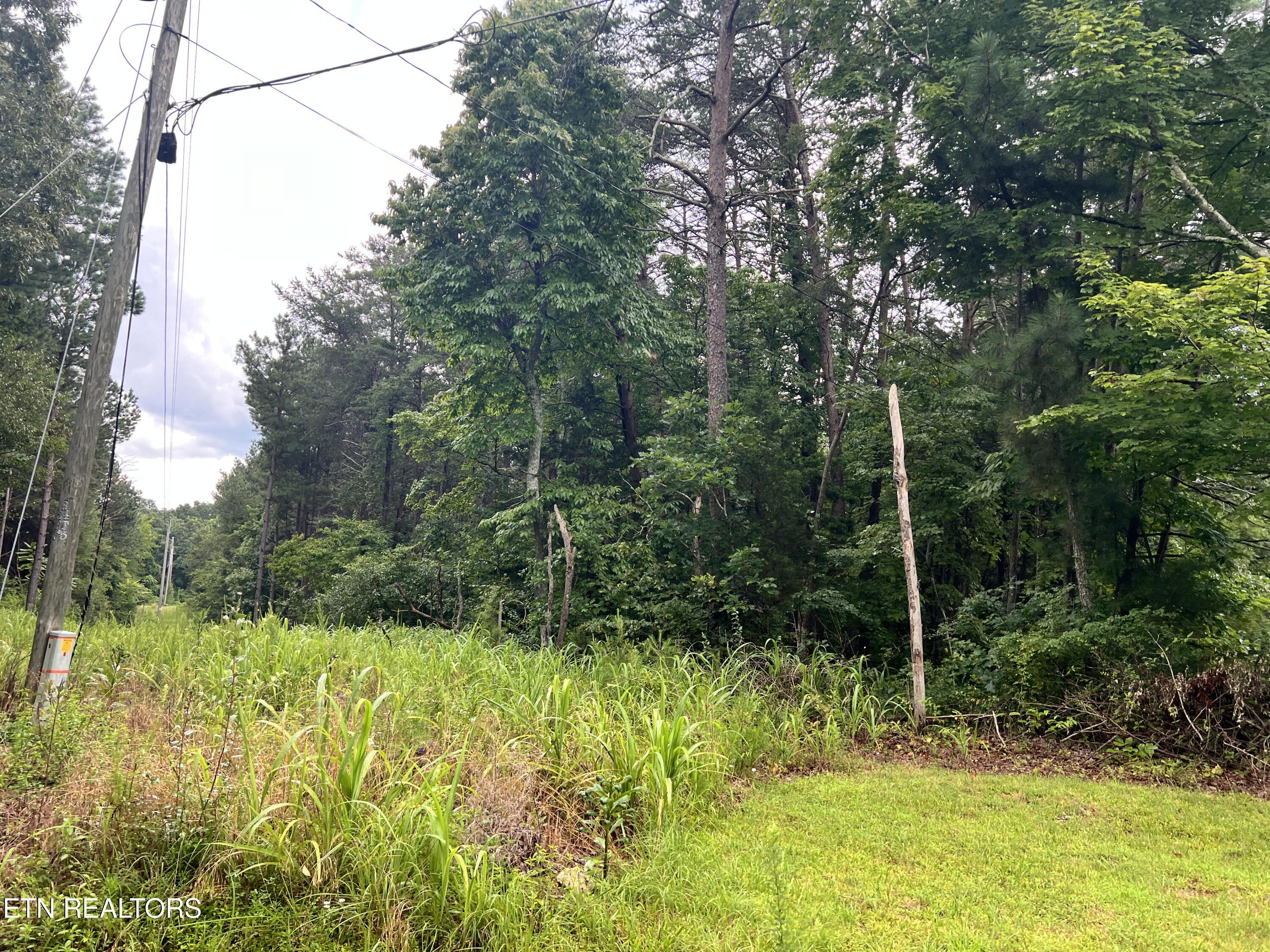 Lot 1 Prigmore Ridge Road Decatur TN 37322