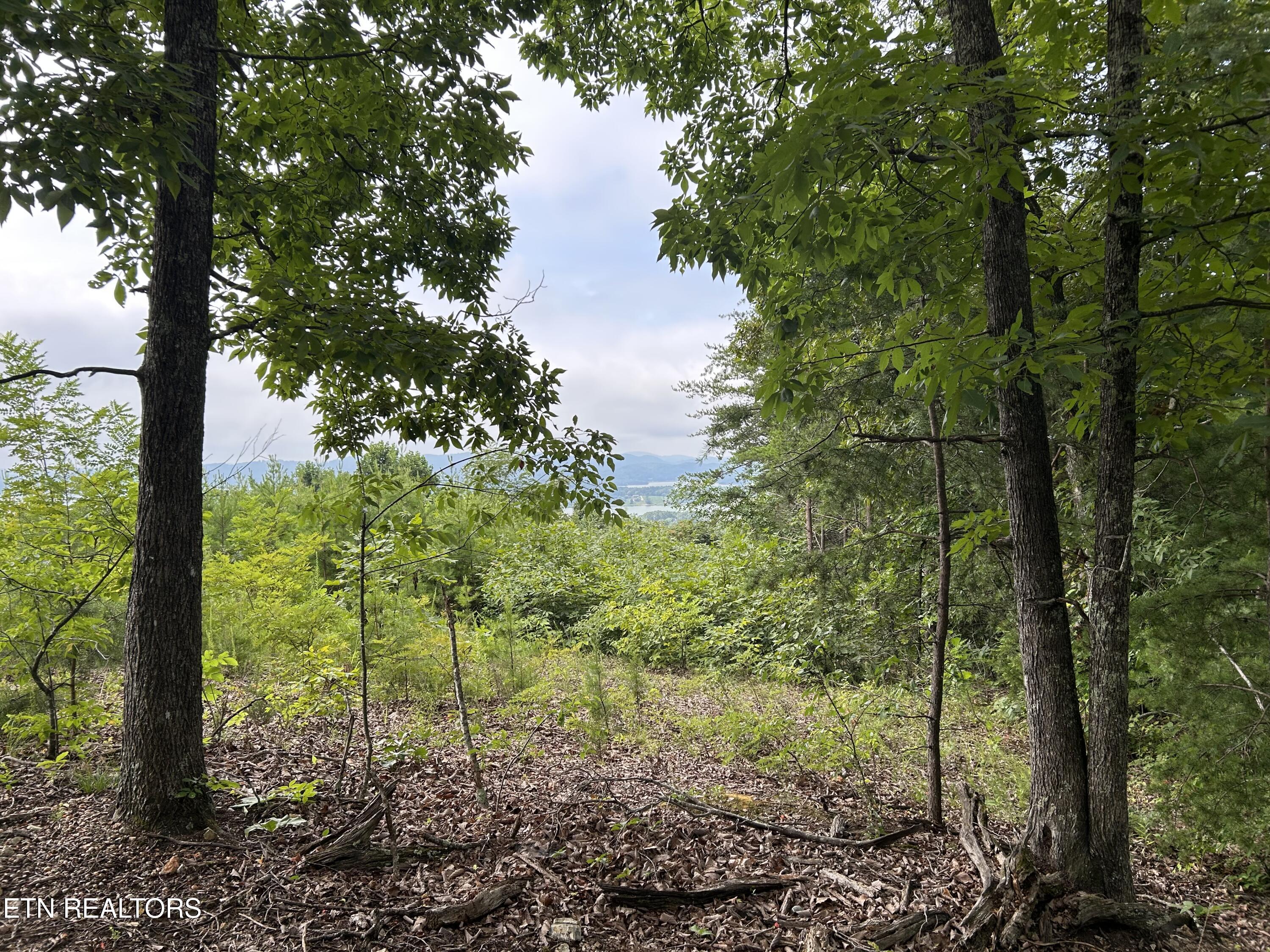 Lot 69 Megans Trail Bean Station TN 37708
