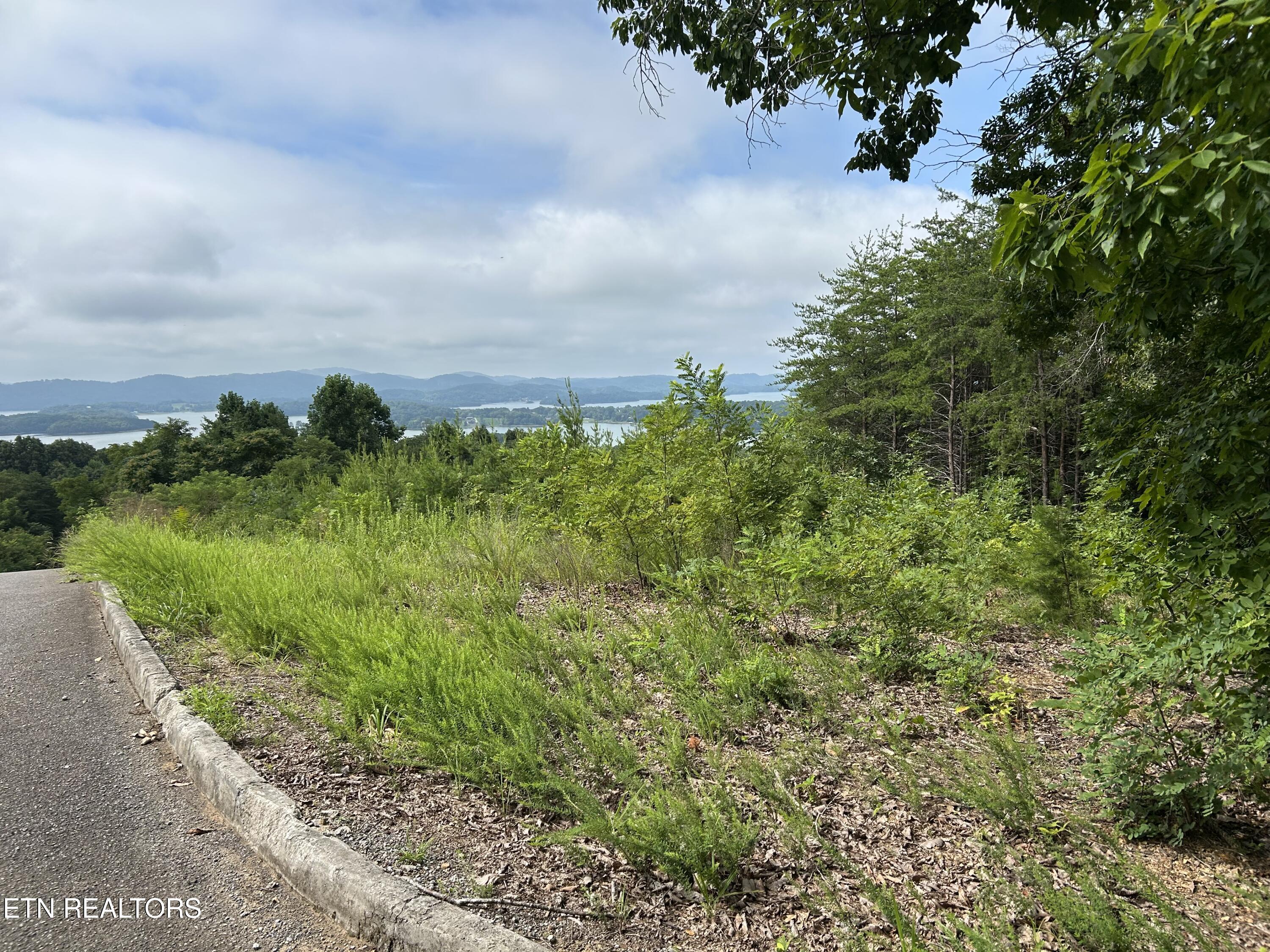 Lot 69 Megans Trail Bean Station TN 37708