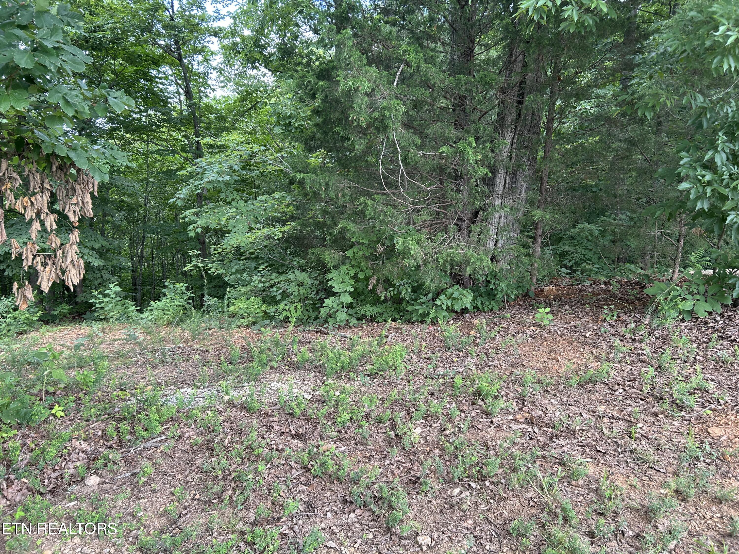 Lot 69 Megans Trail Bean Station TN 37708