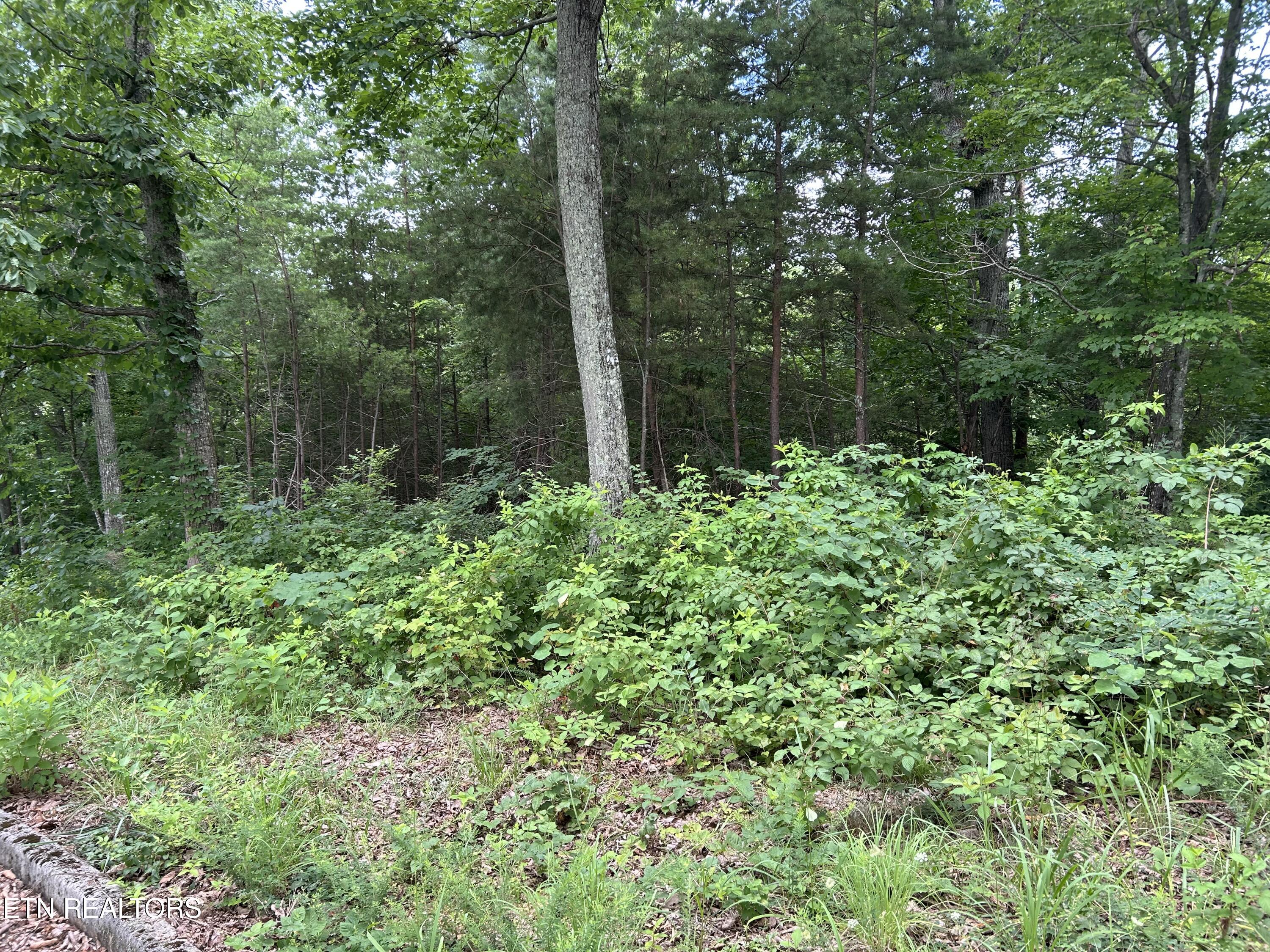 Lot 69 Megans Trail Bean Station TN 37708