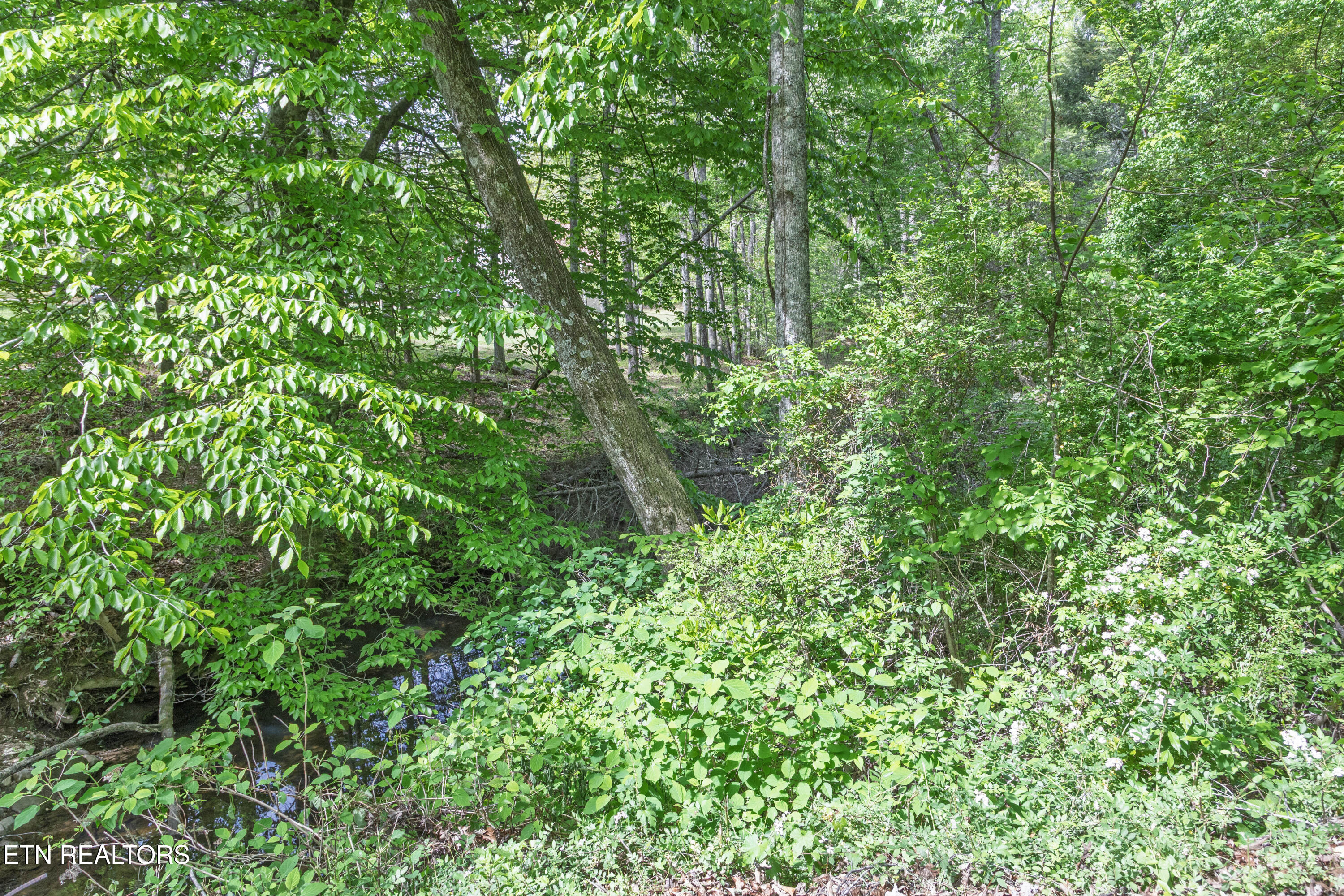 000 Summers Home Lane Dayton TN 37321
