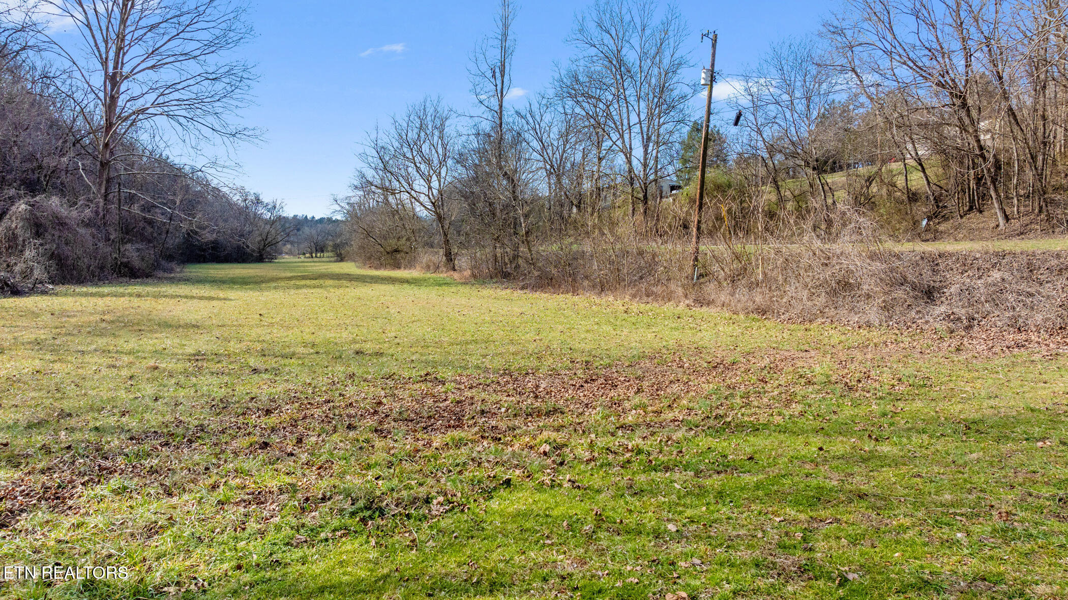 Wye Drive Seymour TN 37865
