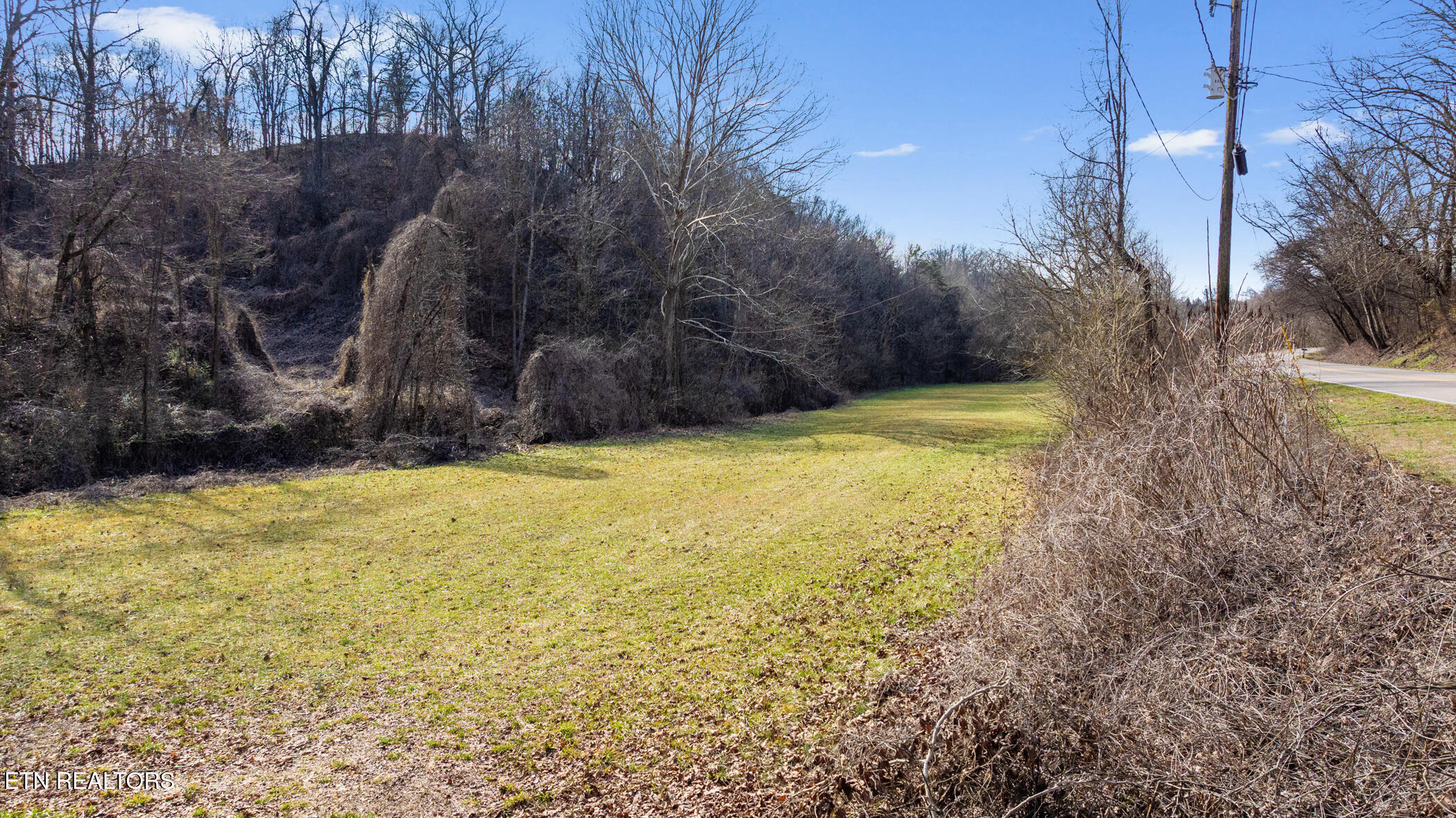 Wye Drive Seymour TN 37865
