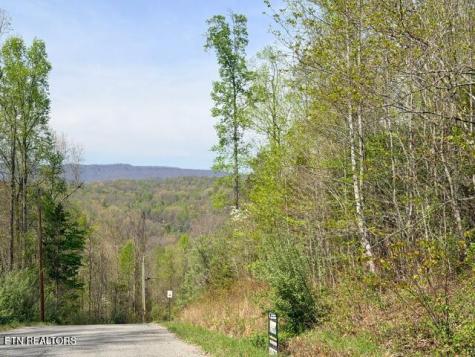 Lot 110 Harness Lane Speedwell TN 37870