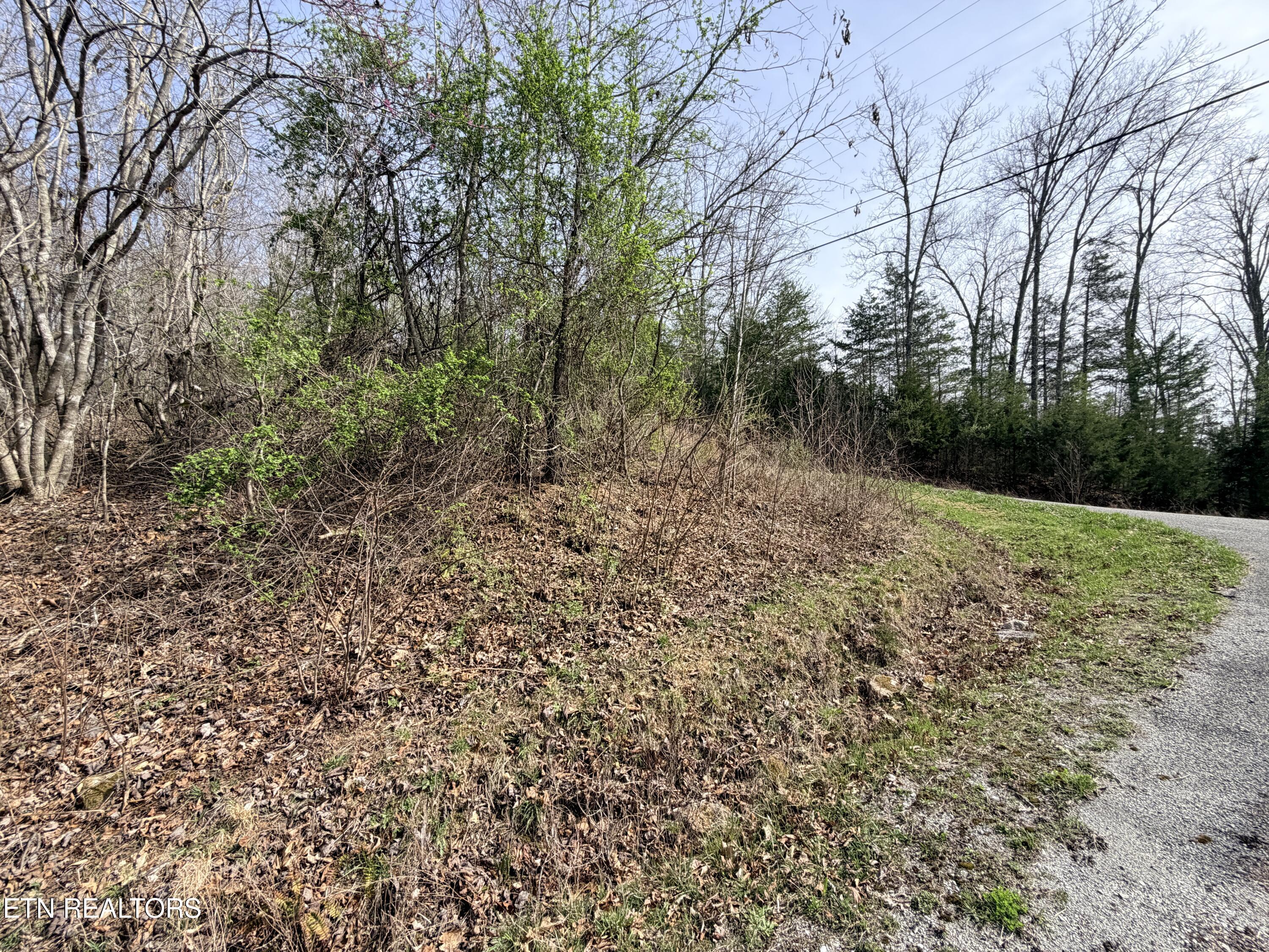 Lot 110 Harness Lane Speedwell TN 37870