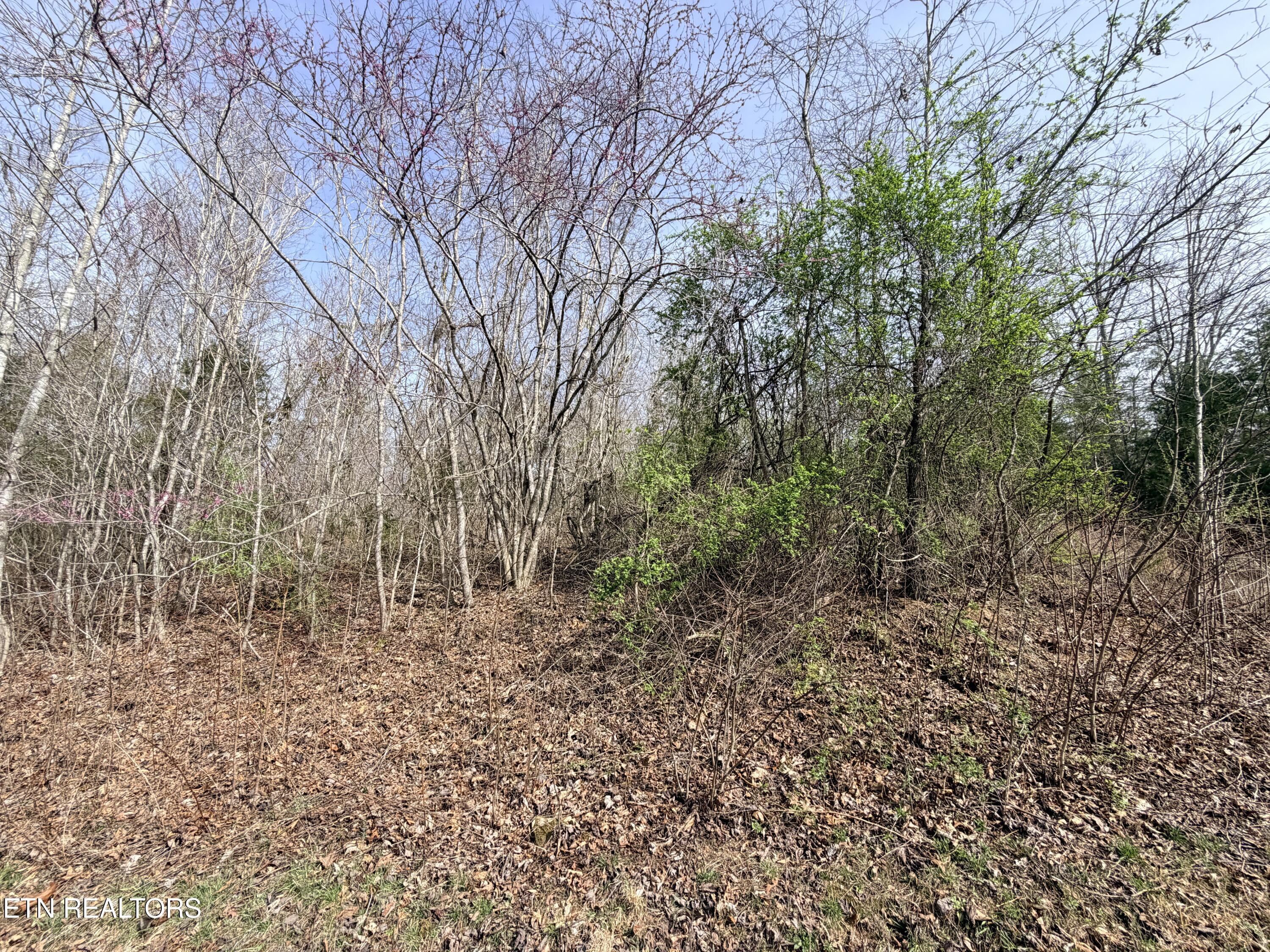 Lot 110 Harness Lane Speedwell TN 37870