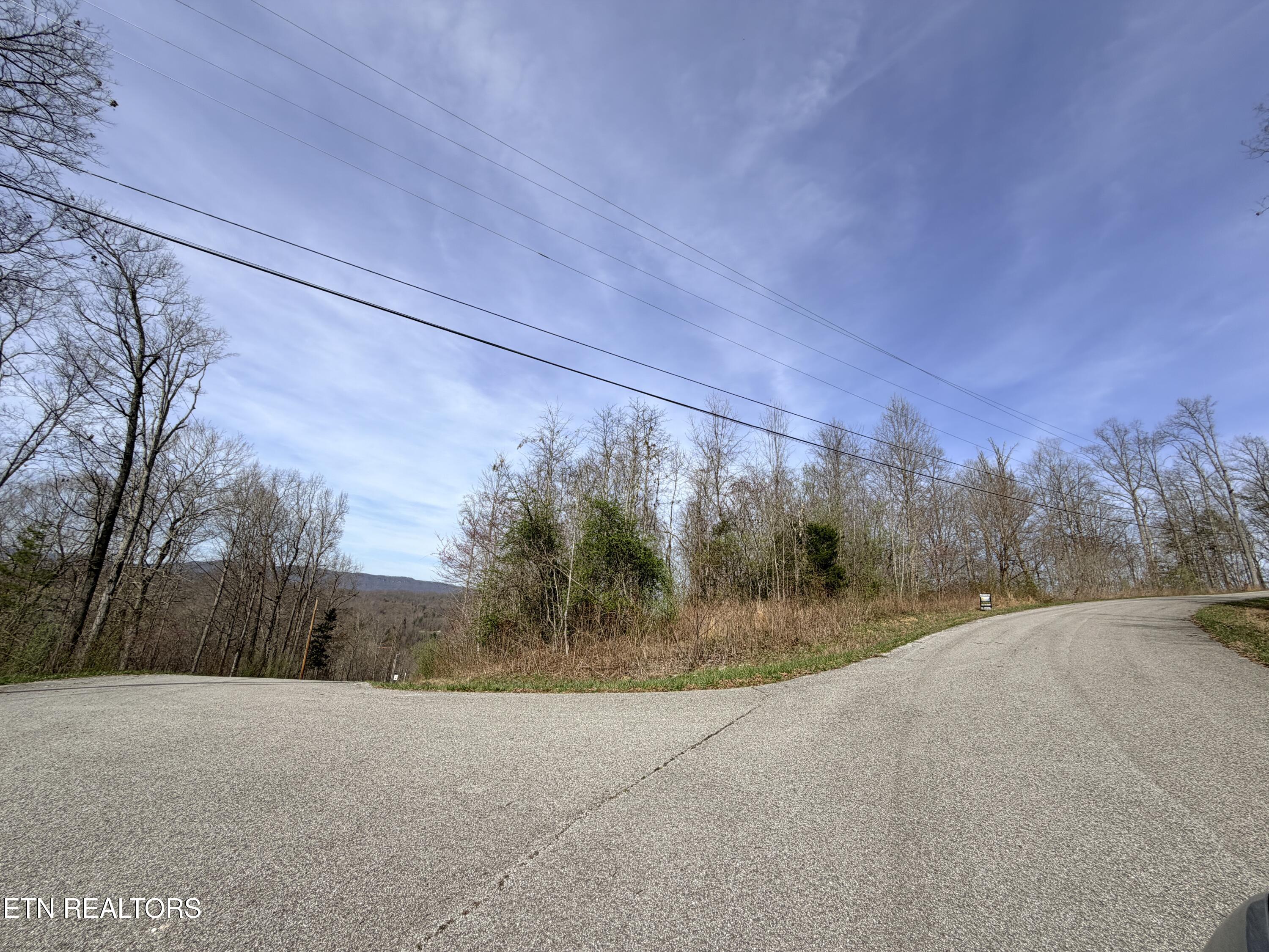 Lot 110 Harness Lane Speedwell TN 37870