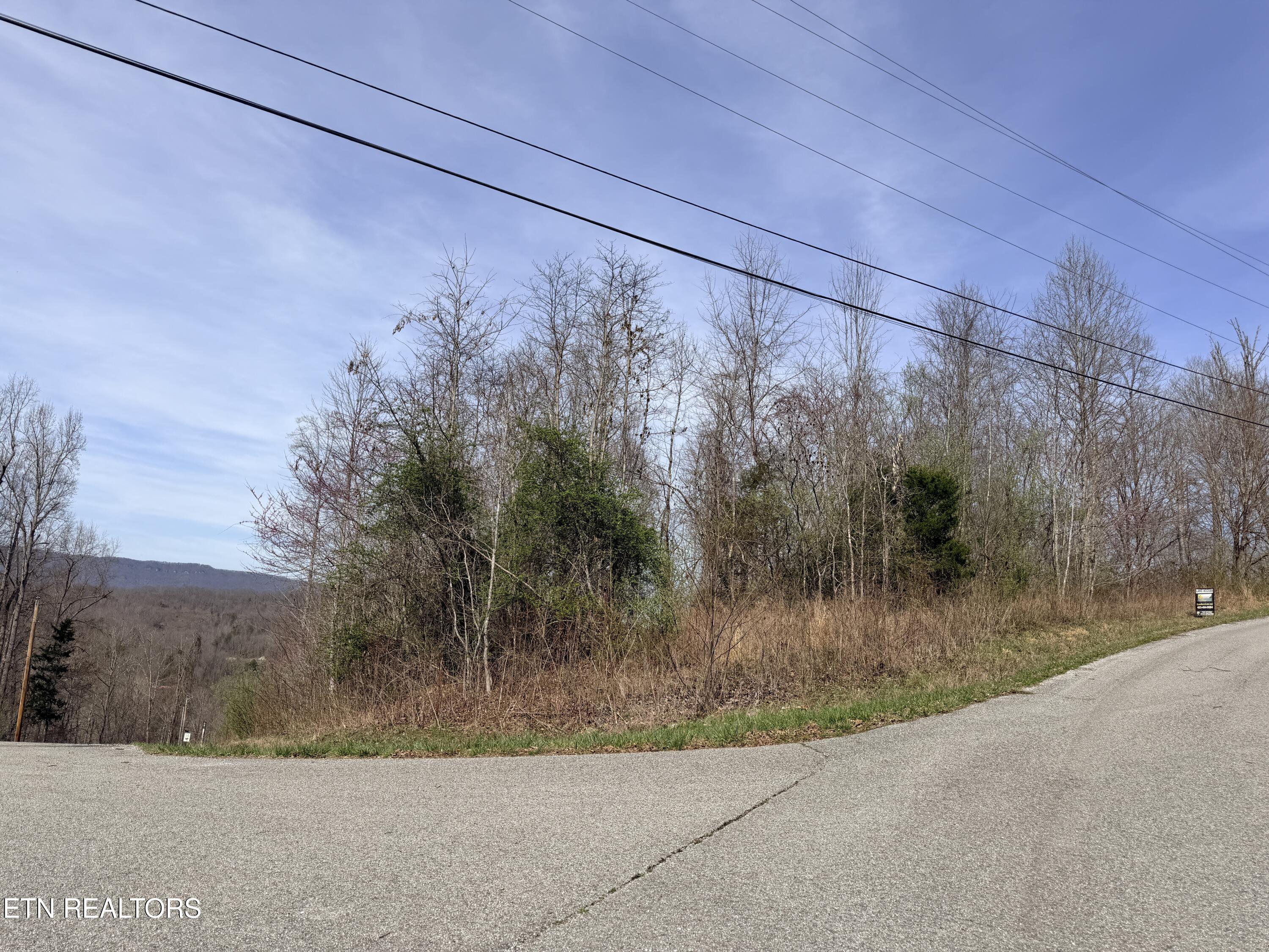Lot 110 Harness Lane Speedwell TN 37870