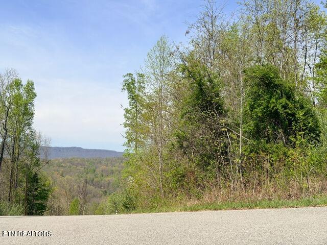 Lot 110 Harness Lane Speedwell TN 37870