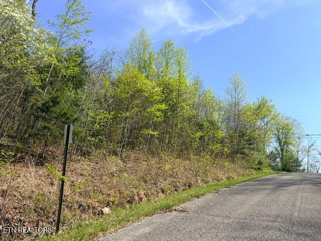 Lot 110 Harness Lane Speedwell TN 37870