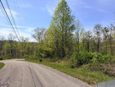 Lot 110 Harness Lane Speedwell TN 37870