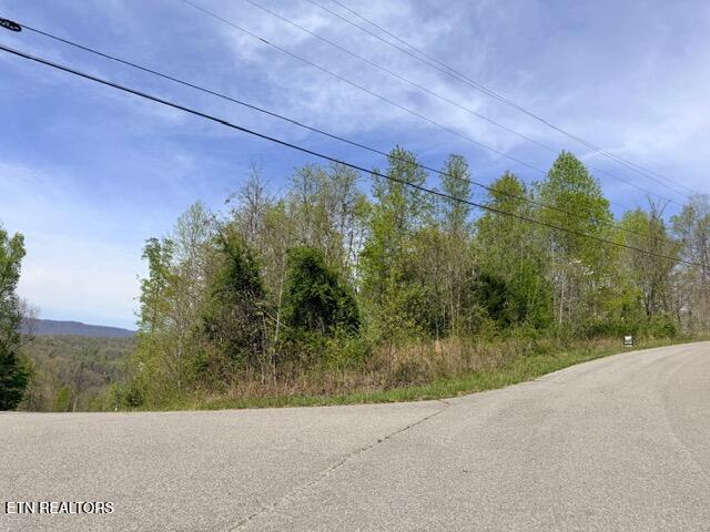 Lot 110 Harness Lane Speedwell TN 37870
